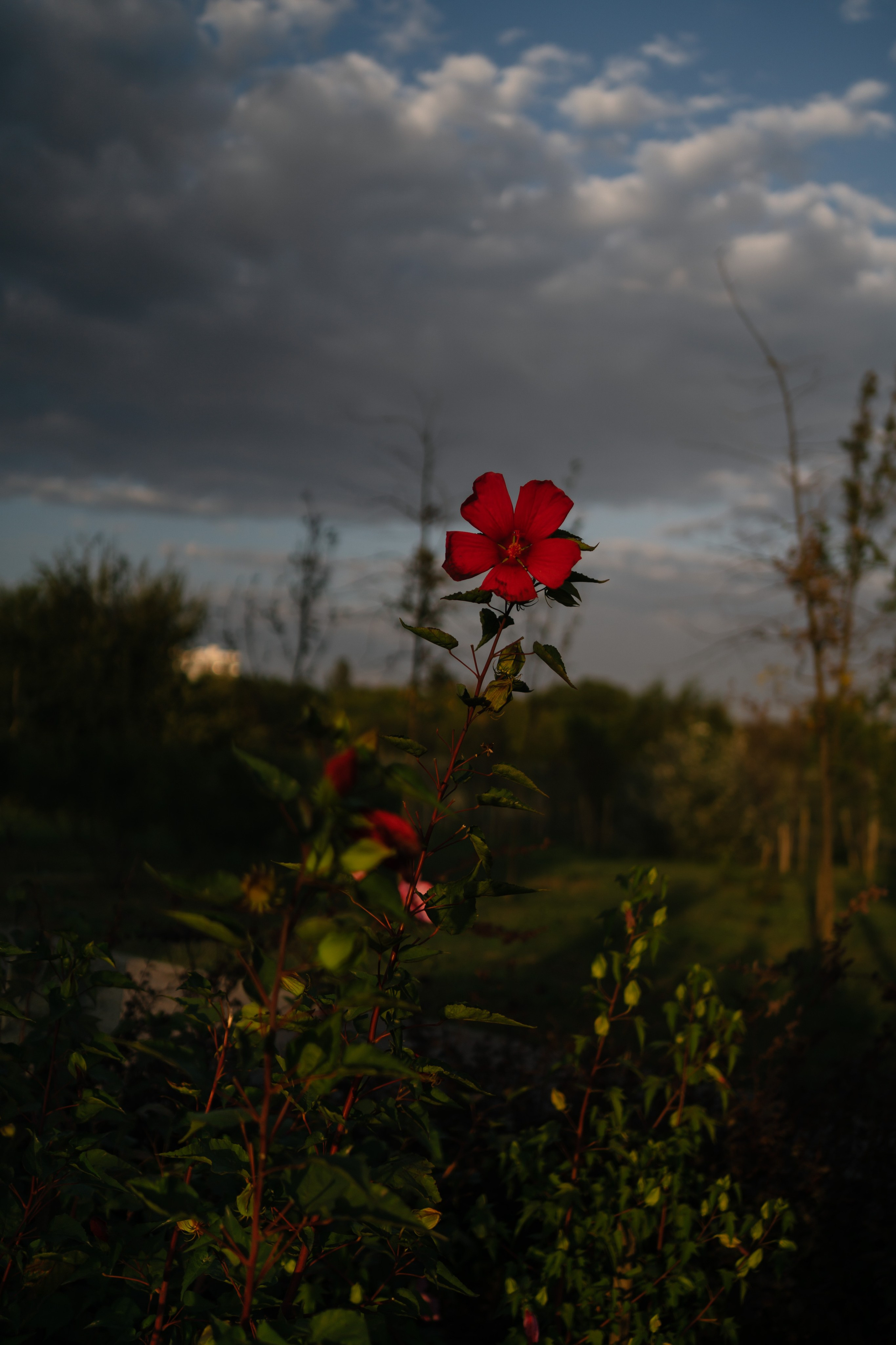 Локации для школьных съемок. Семейный фотограф и видеограф Ростов-на-Дону
