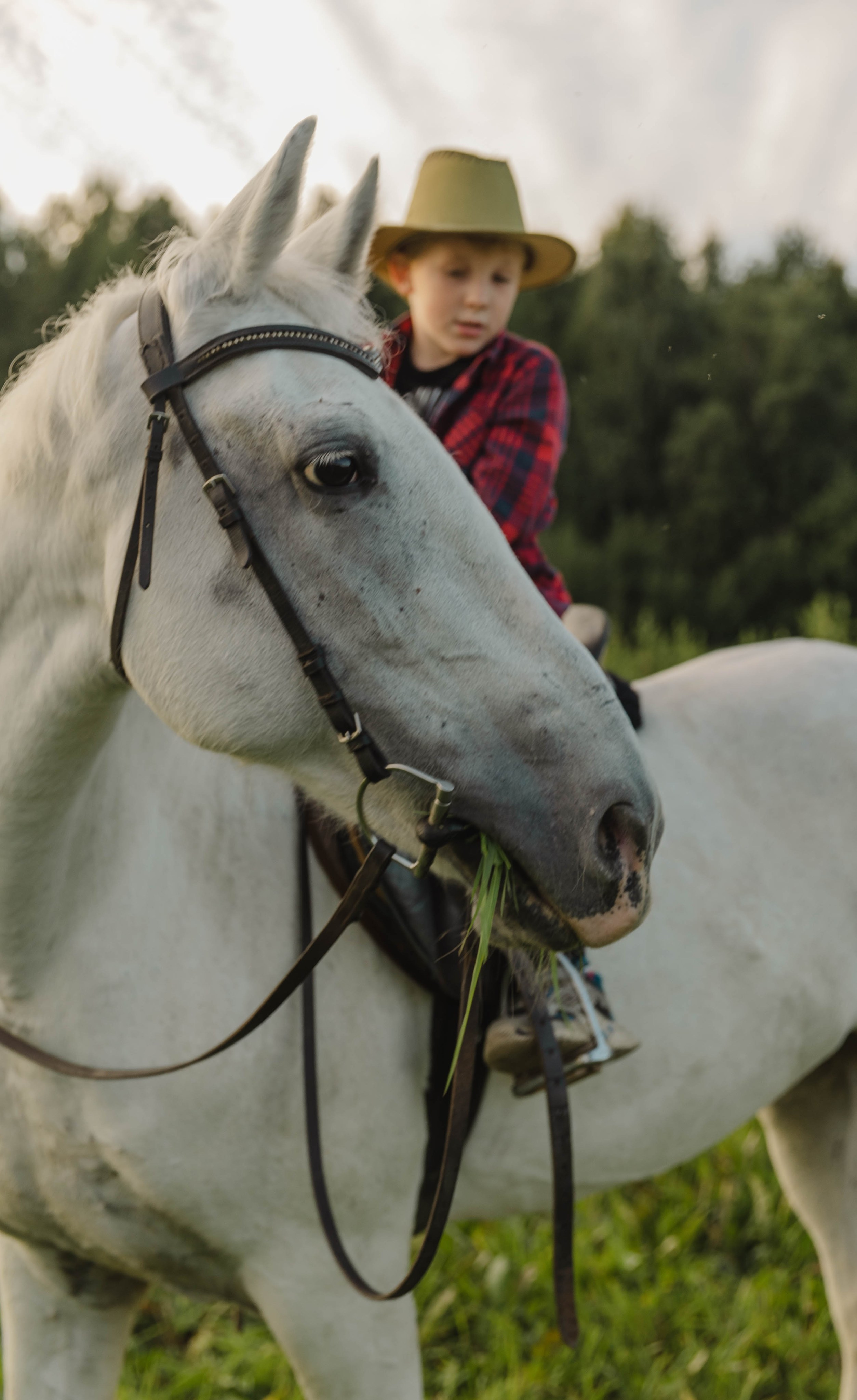 Тёплый вечер лета. Свадебный и семейный фотограф в Карелии