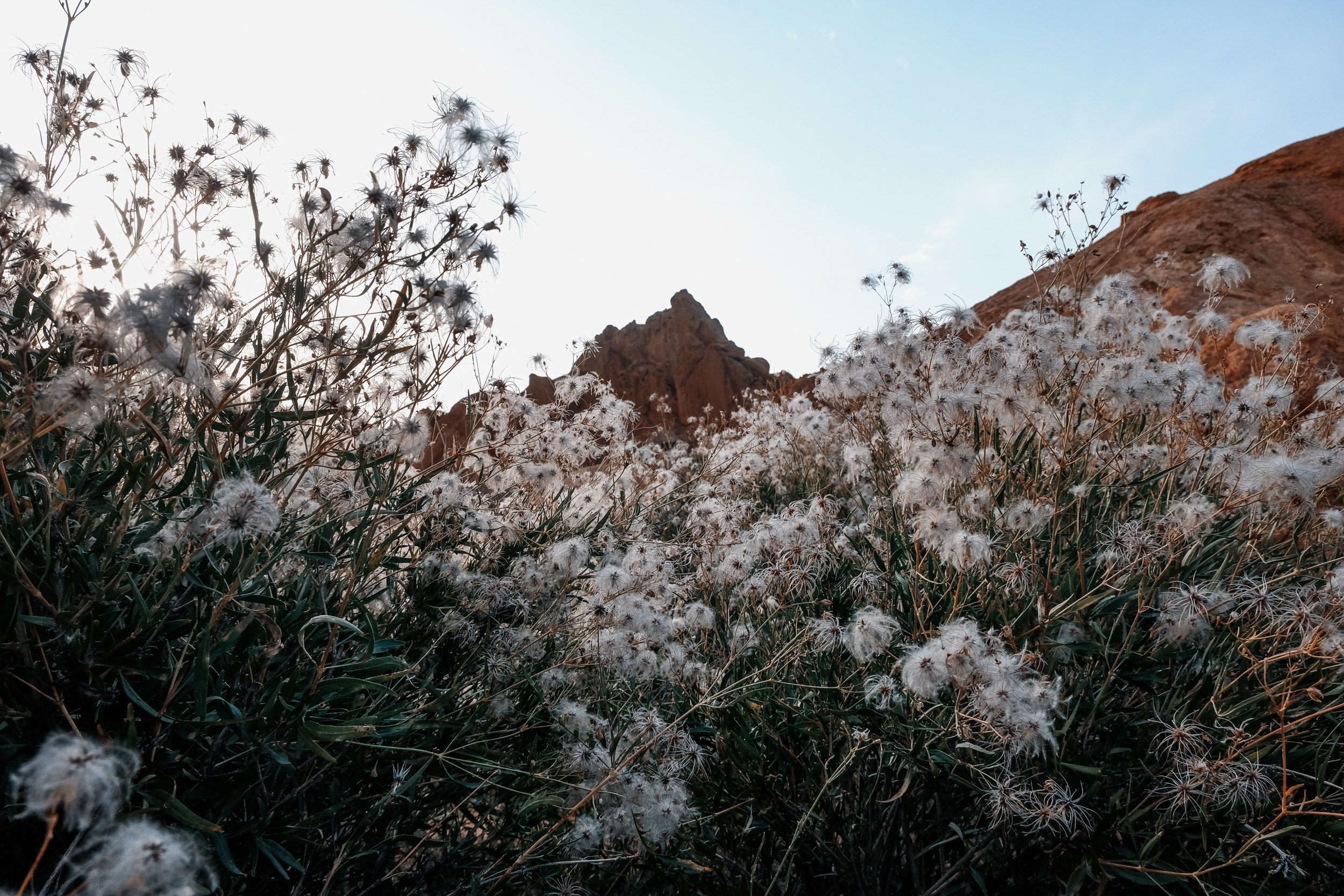 Кыргызстан. Фотограф Дмитрий Олрайт | Калуга, Россия