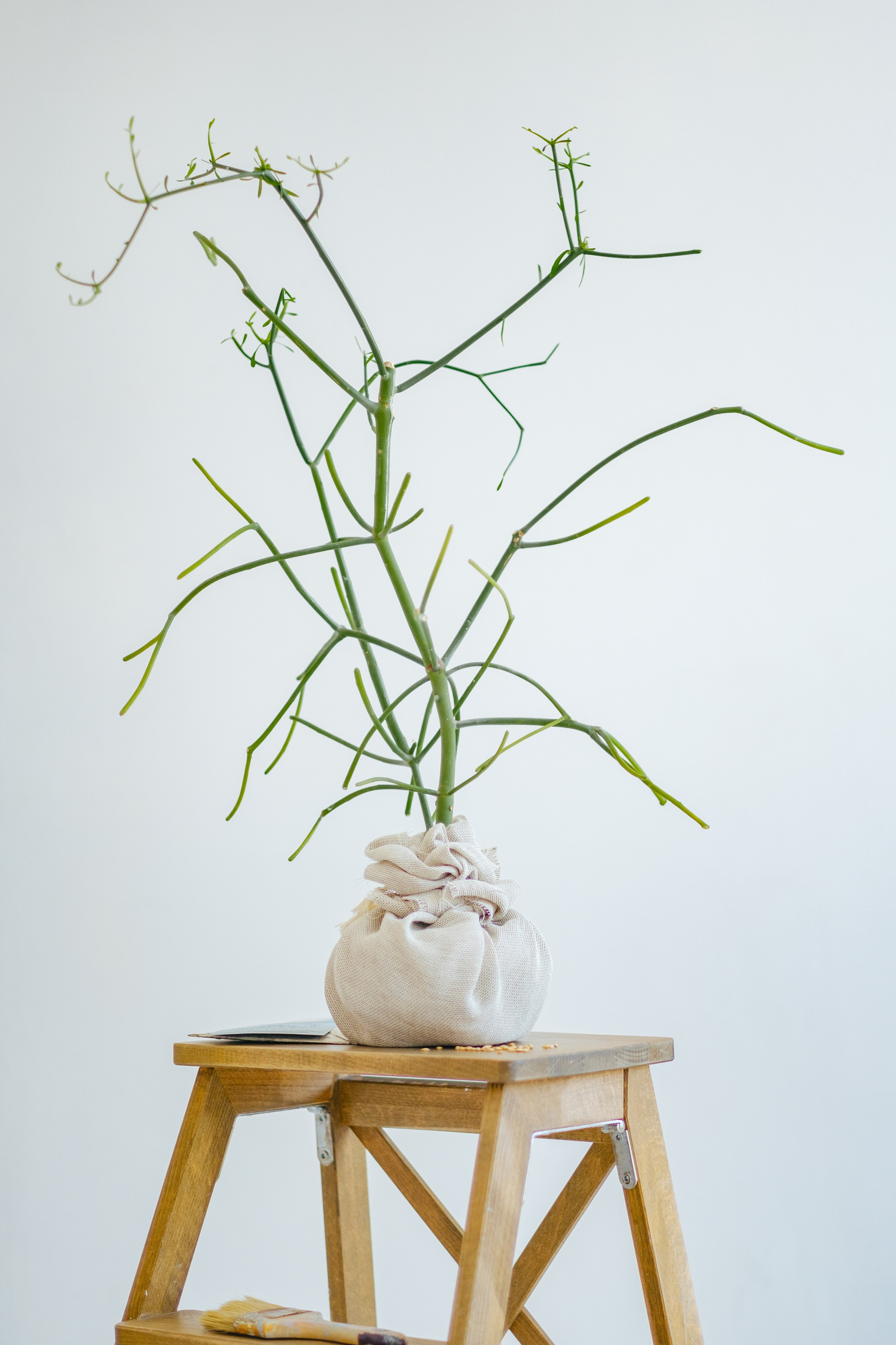 Айк и Юлия. Свадебный Видеограф Фотограф в Сочи