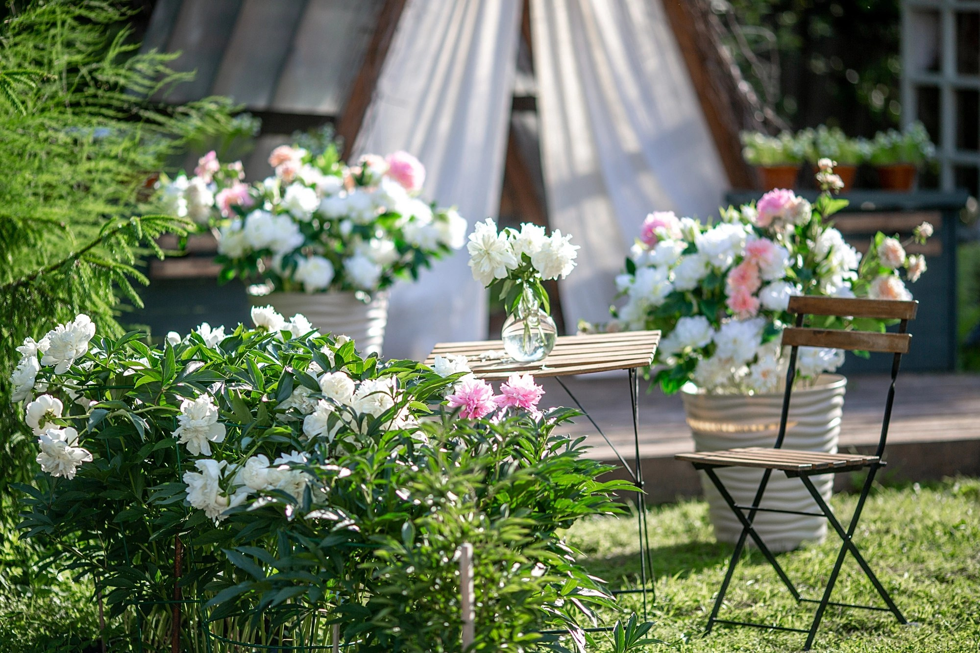 Все фотостудии в Твери. Свадебный и семейный фотограф в Твери и Тверской области
