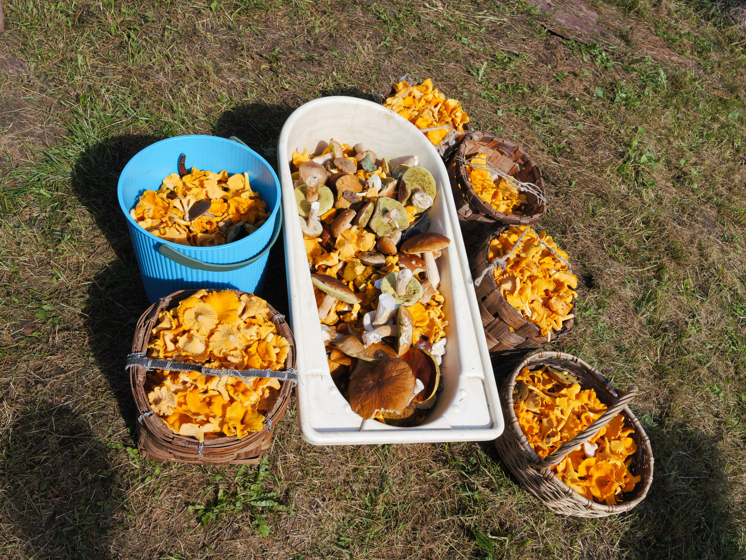 Неторопливый Торопец. Август 2024 года. Фотограф Никифоров-Гордеев Сергей. Москва и МО