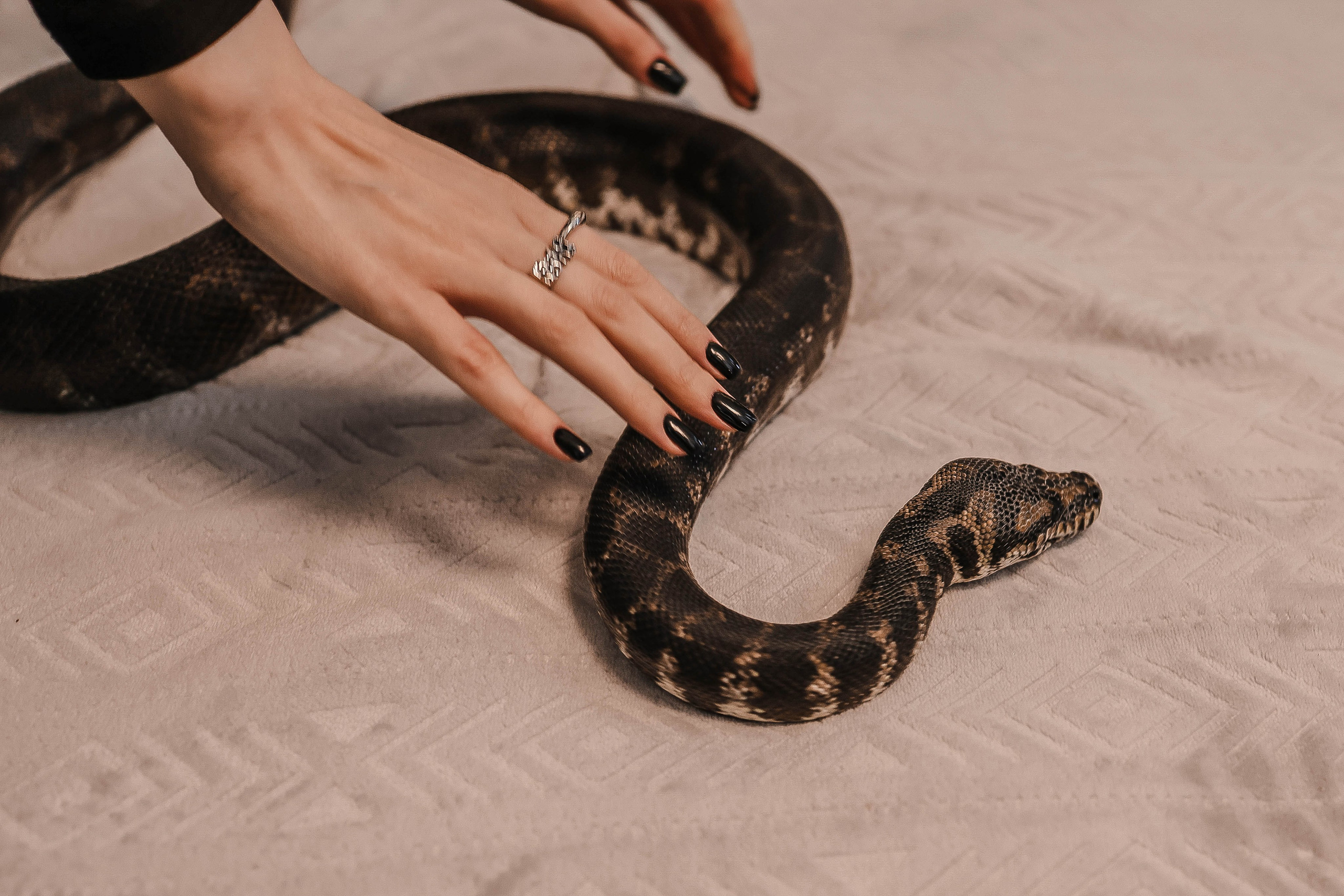 Лера и змеи. Фотограф в Липецке Ирина Козлова