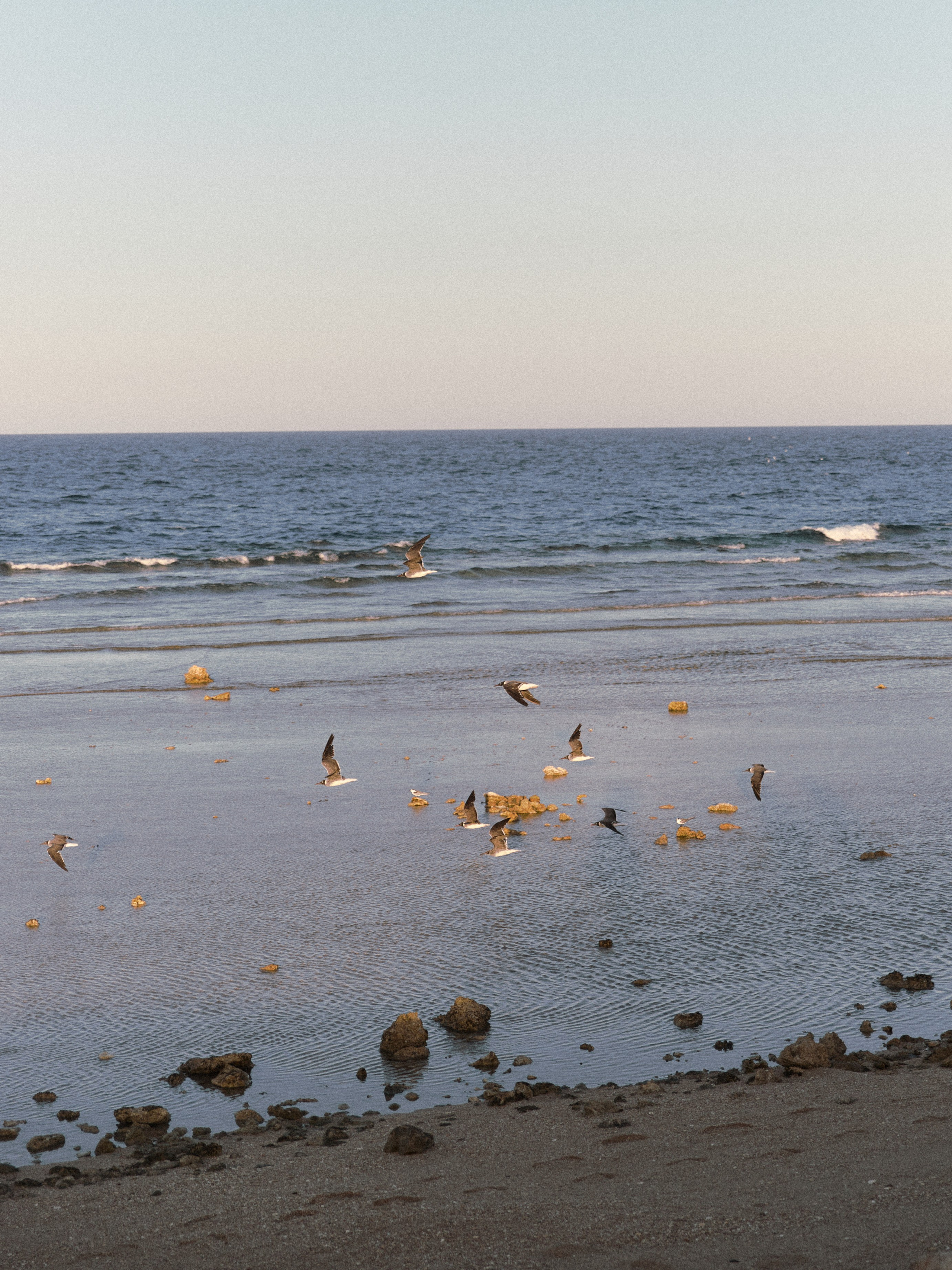 Природа. Jorgis Talè — photographer, kind person, teacher of arts and other mag