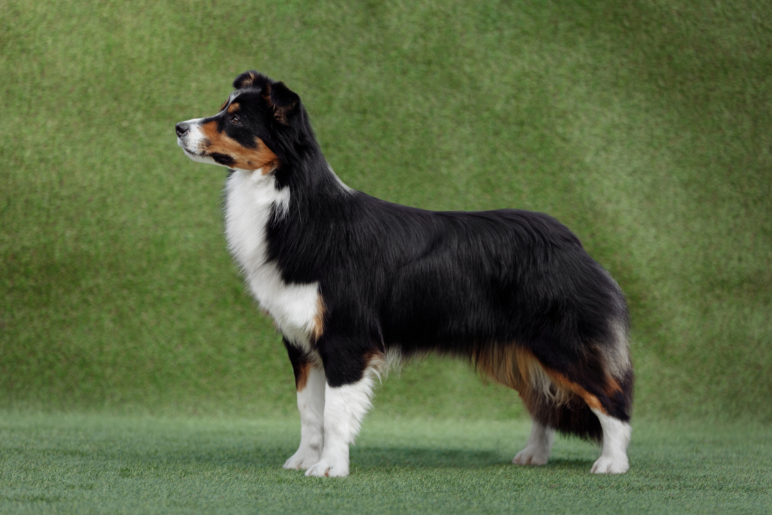 Свое место. О нас