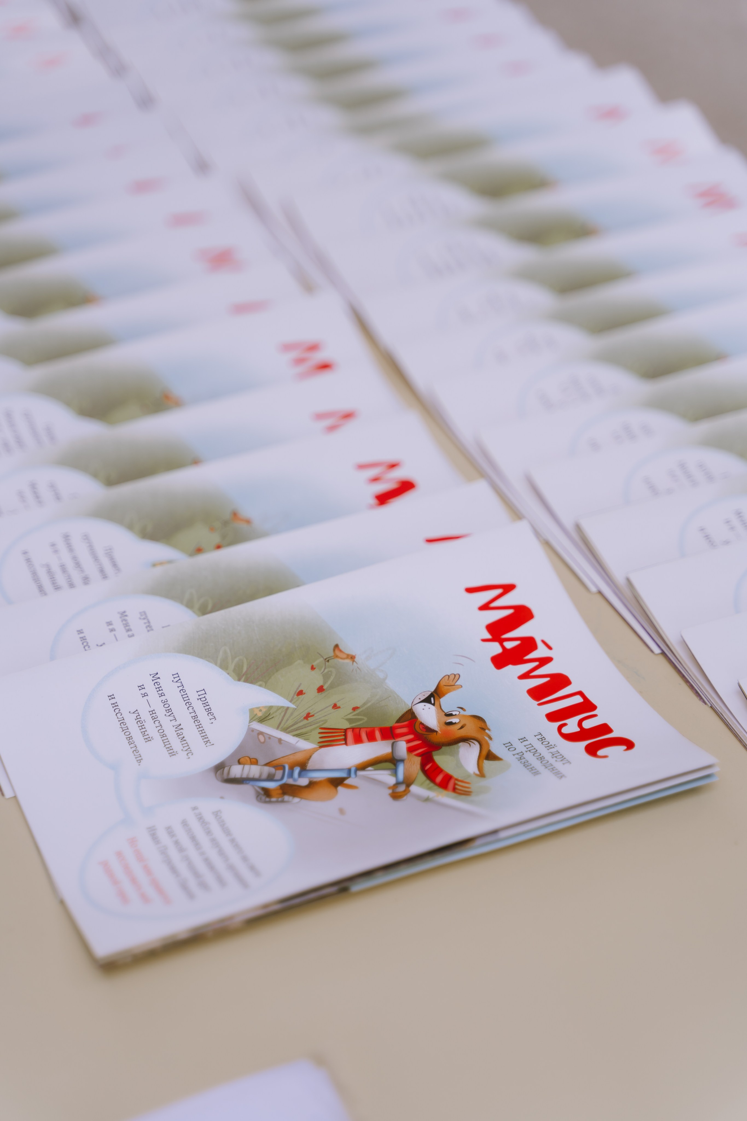 Площадка фестиваля «Мампус и его друзья» в Лесопарке 2025. Фотограф Надежда Погребняк | Рязань | Москва