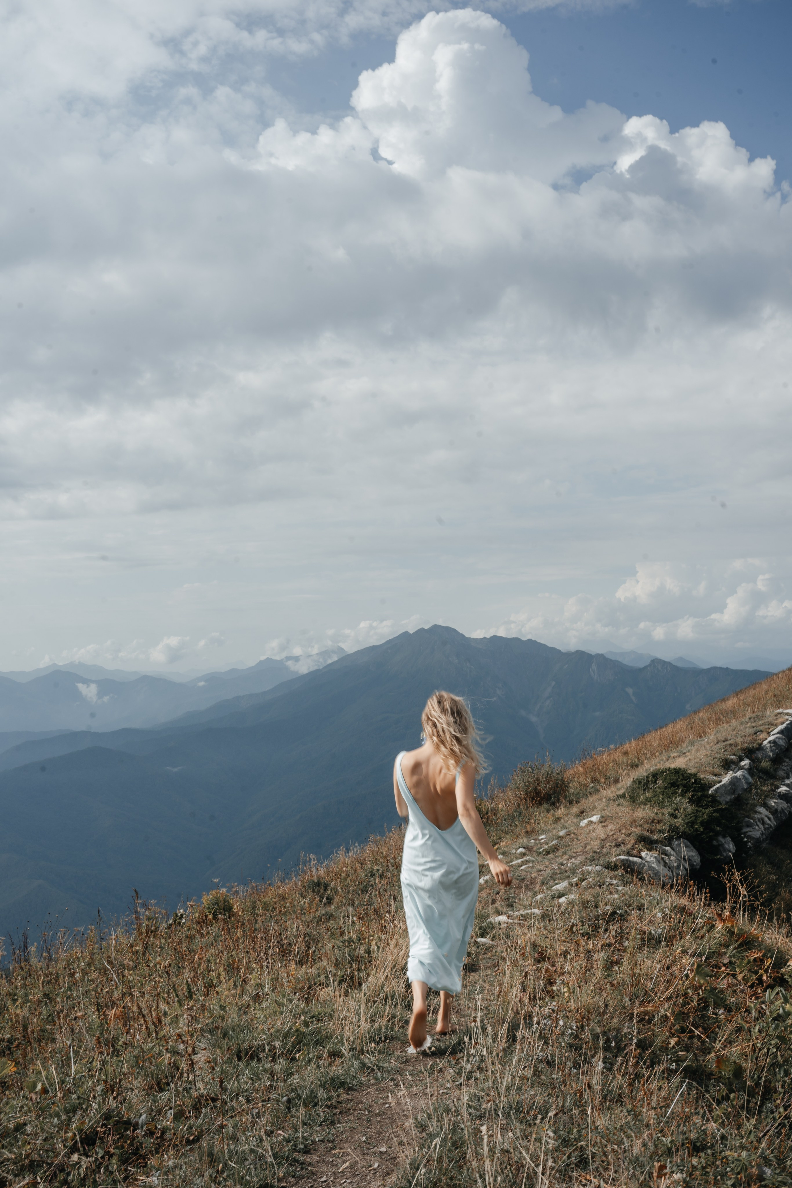 Астра. Главная