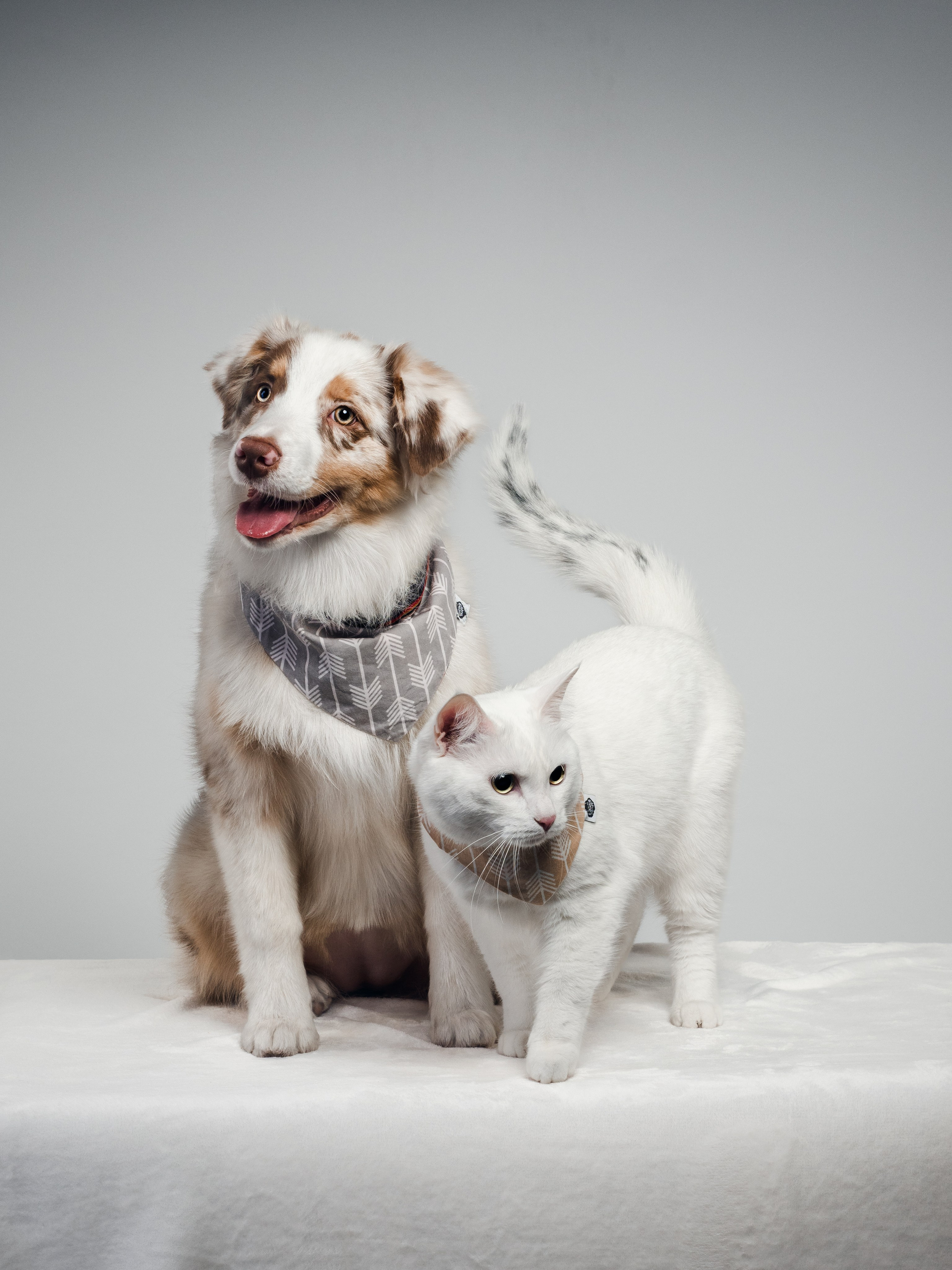 Фотограф животных и людей в Санкт-Петербурге Дарья Быстрицкая