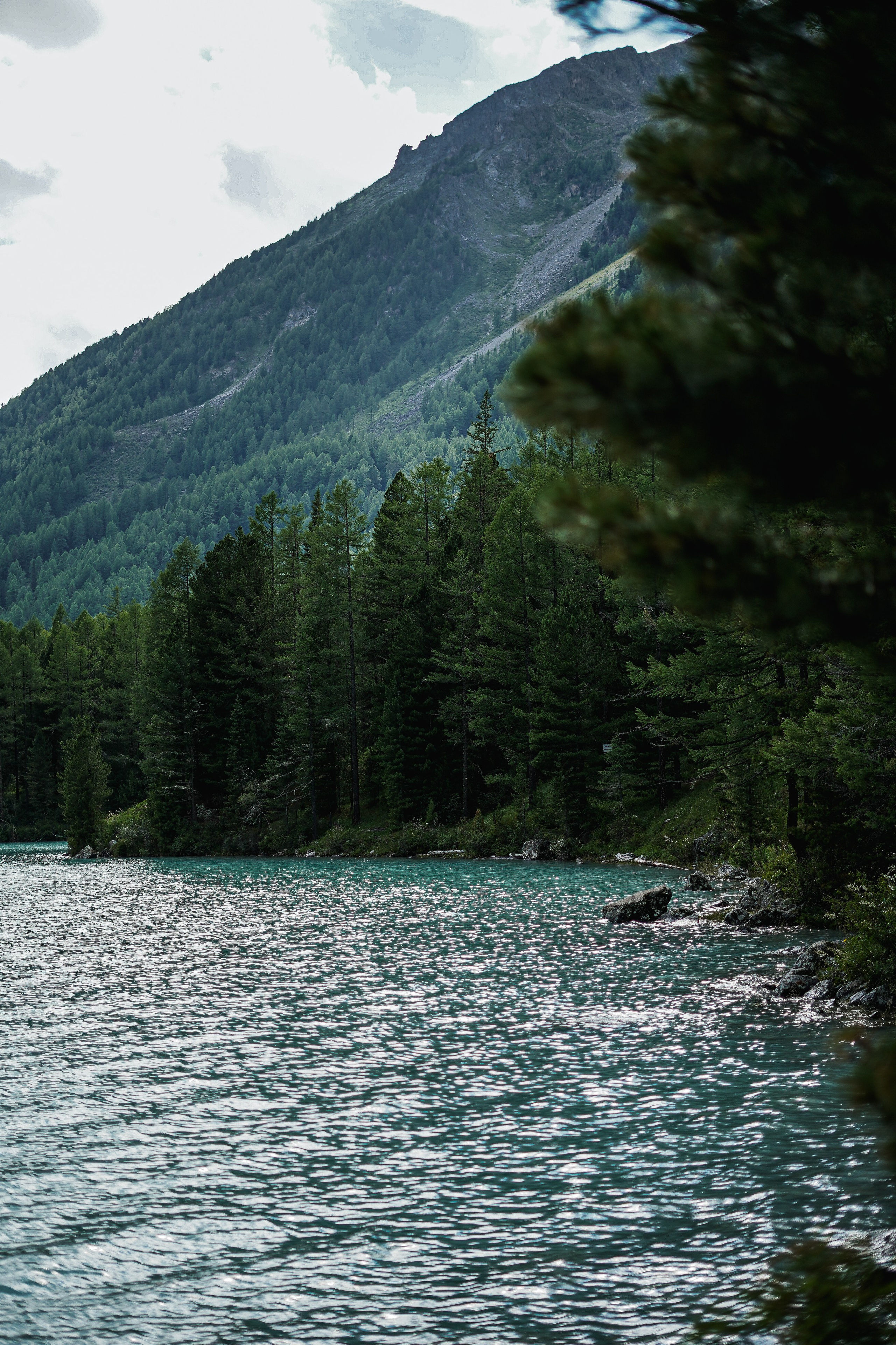 Алтай, поход к Белухе 2023. Фотограф Ольга Пучкова