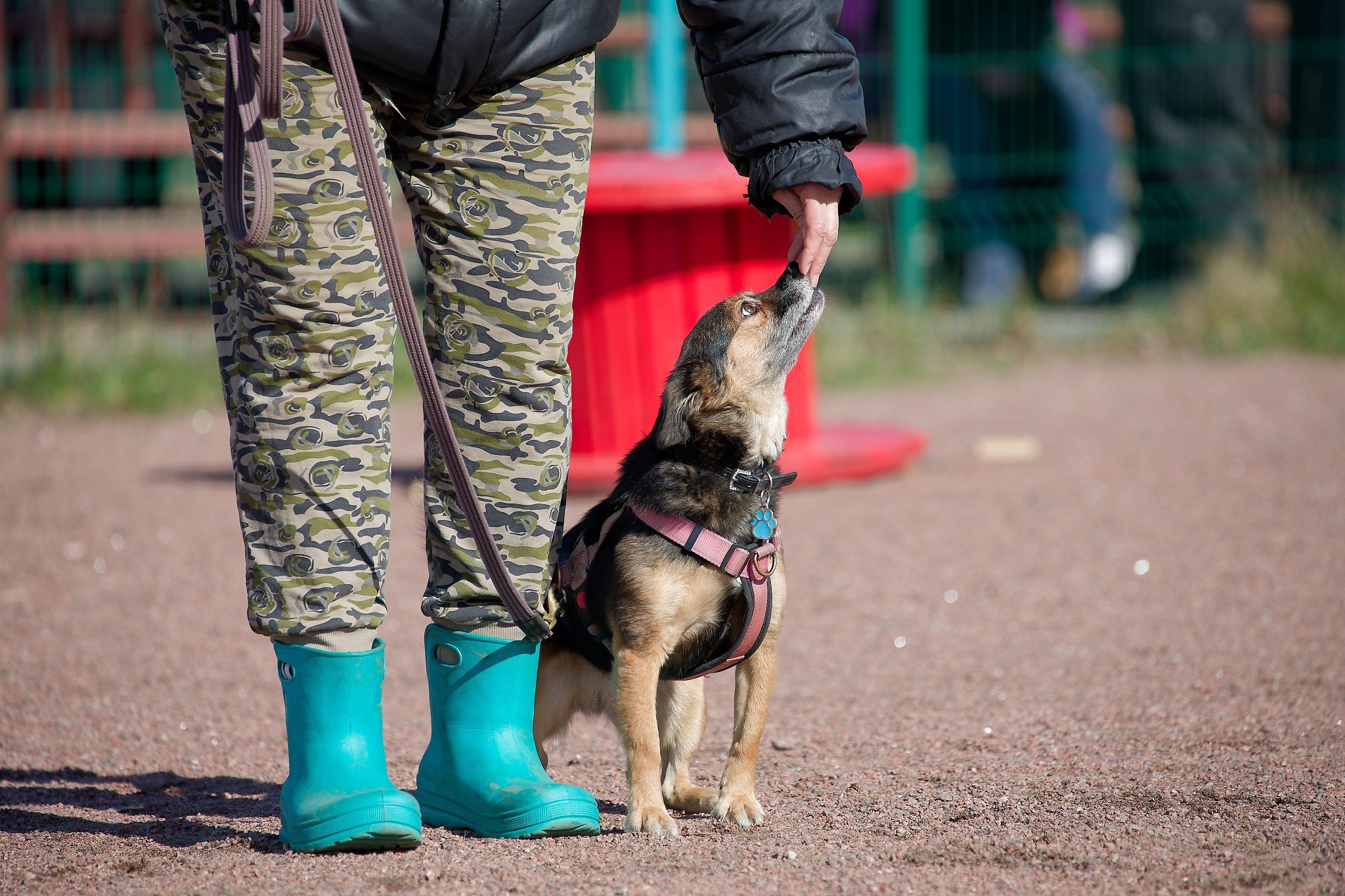 Турнир «Место». Irenephoto.ru