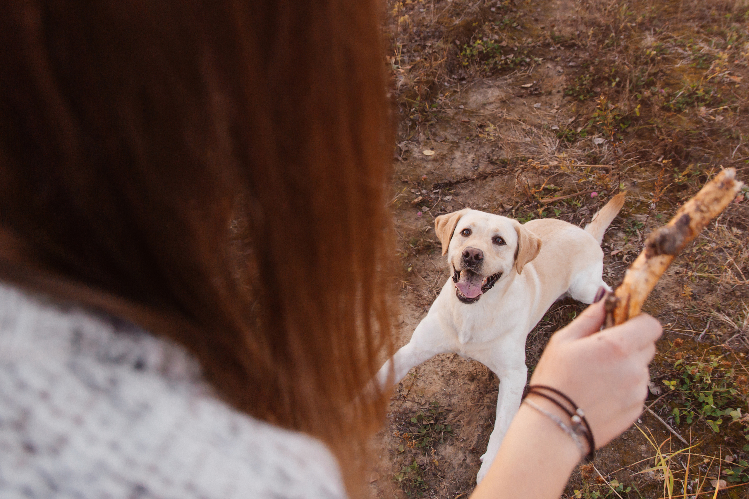 Друг. Свадебный семейный фотограф и видеограф Гомель Минск Беларусь Европа