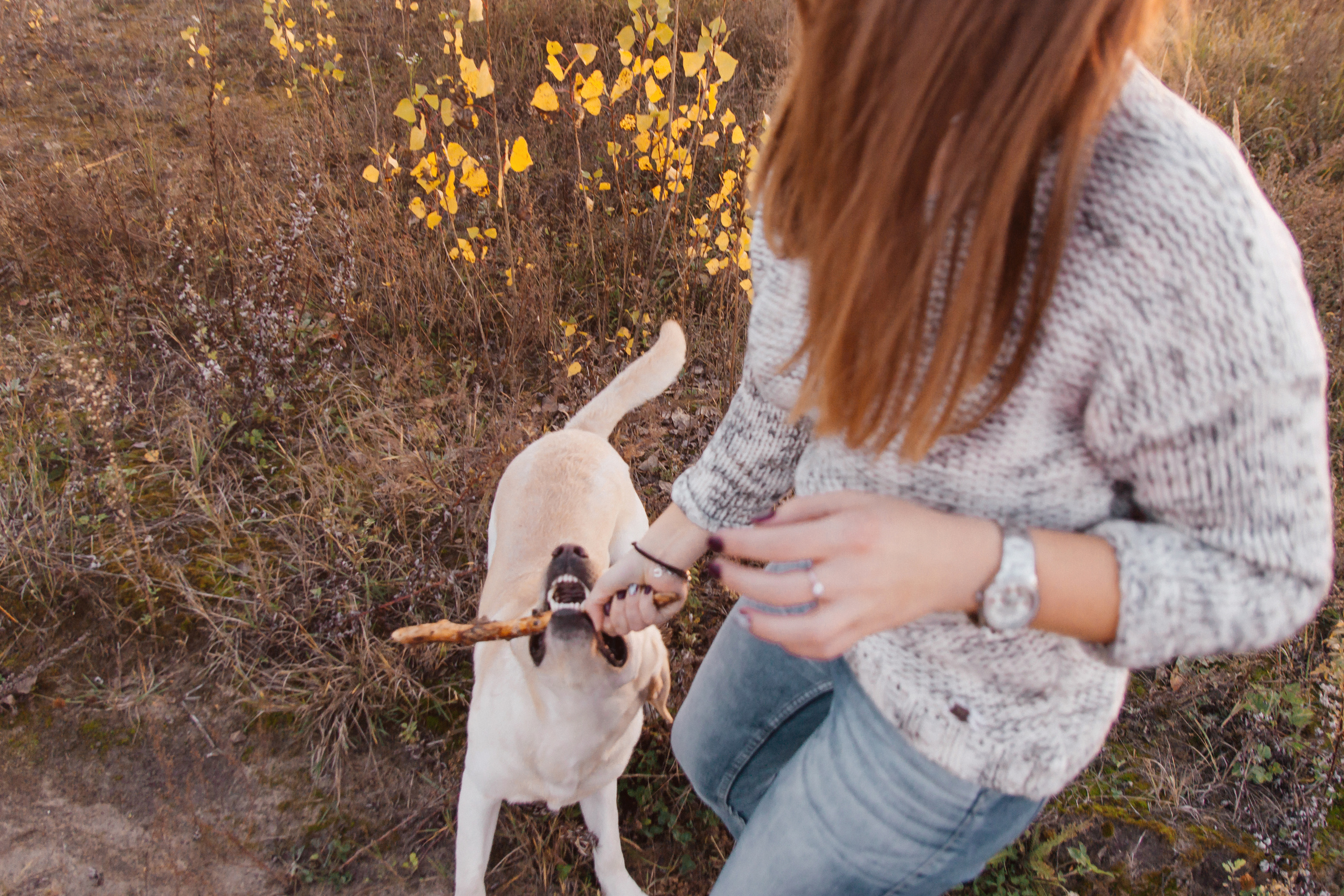 Друг. Свадебный семейный фотограф и видеограф Гомель Минск Беларусь Европа
