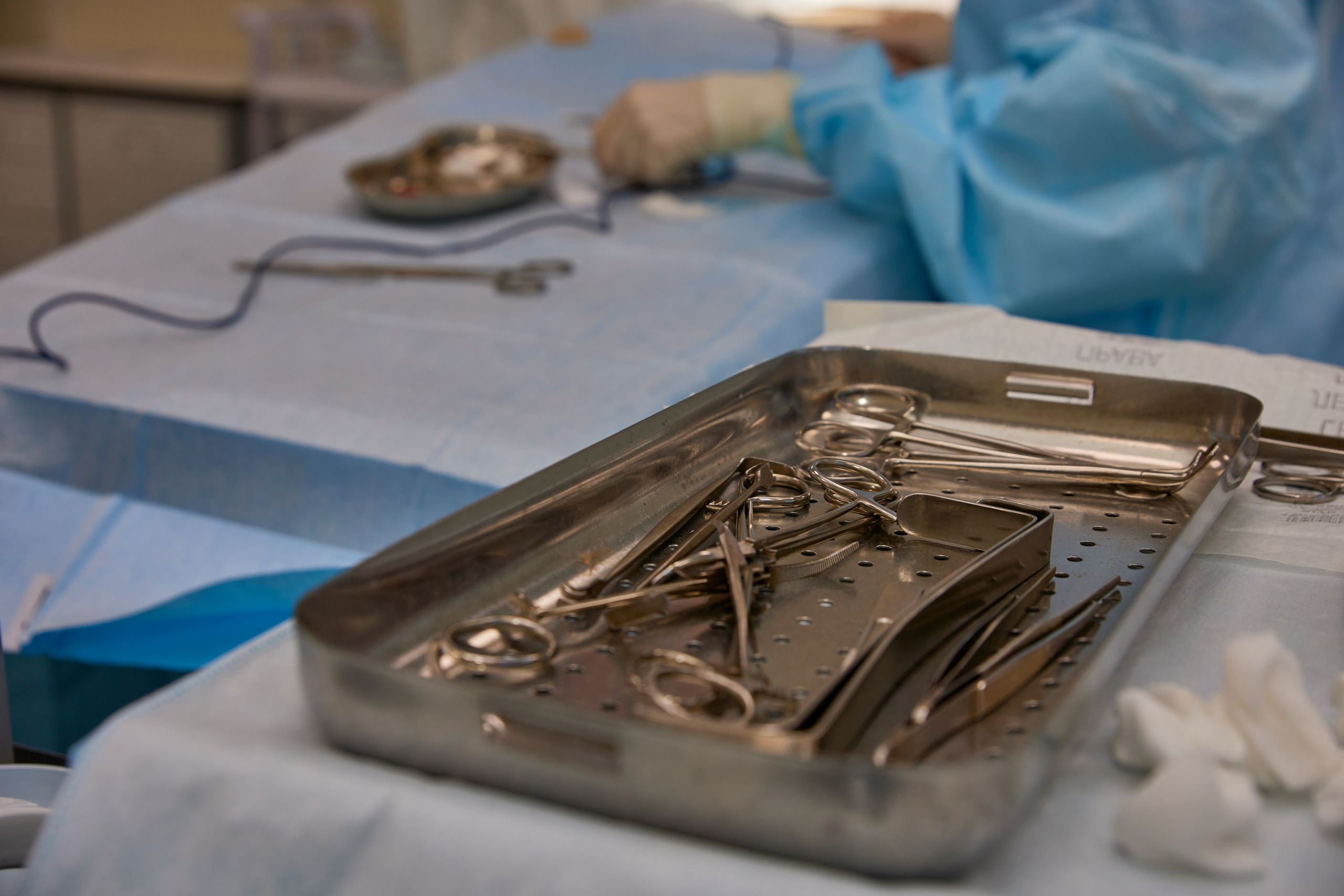 День хирурга. Фотограф во Владивостоке Осипчук Дмитрий