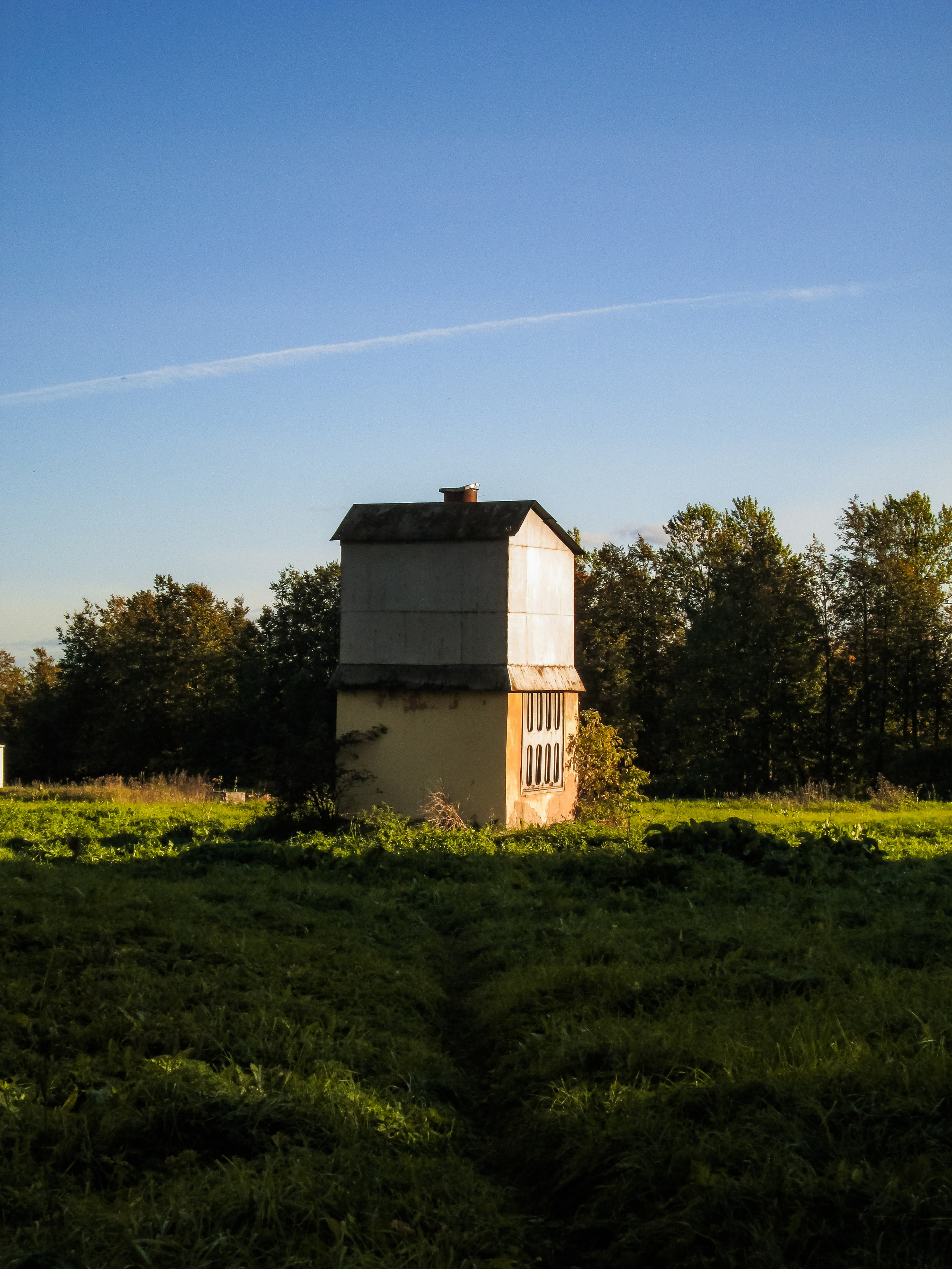 Чувство ушедшего лета. Натали. Janie valde |photographer & visual artist