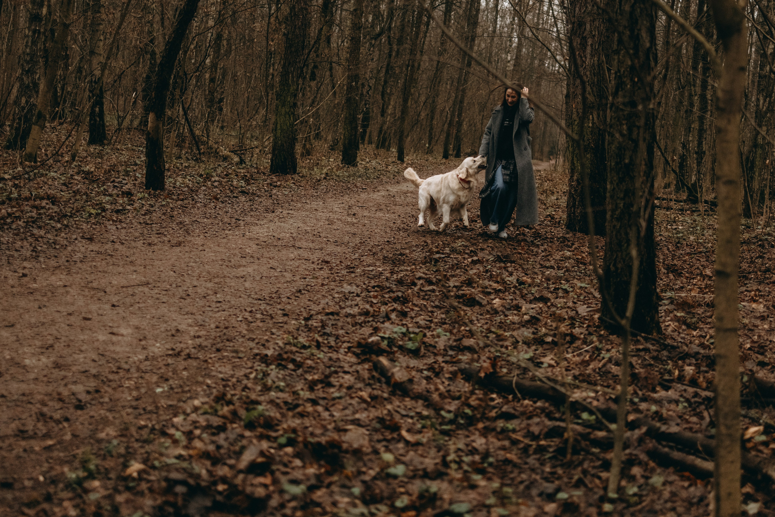 Лаки и его семья. Фотограф — Анималист | Санкт-Петербург