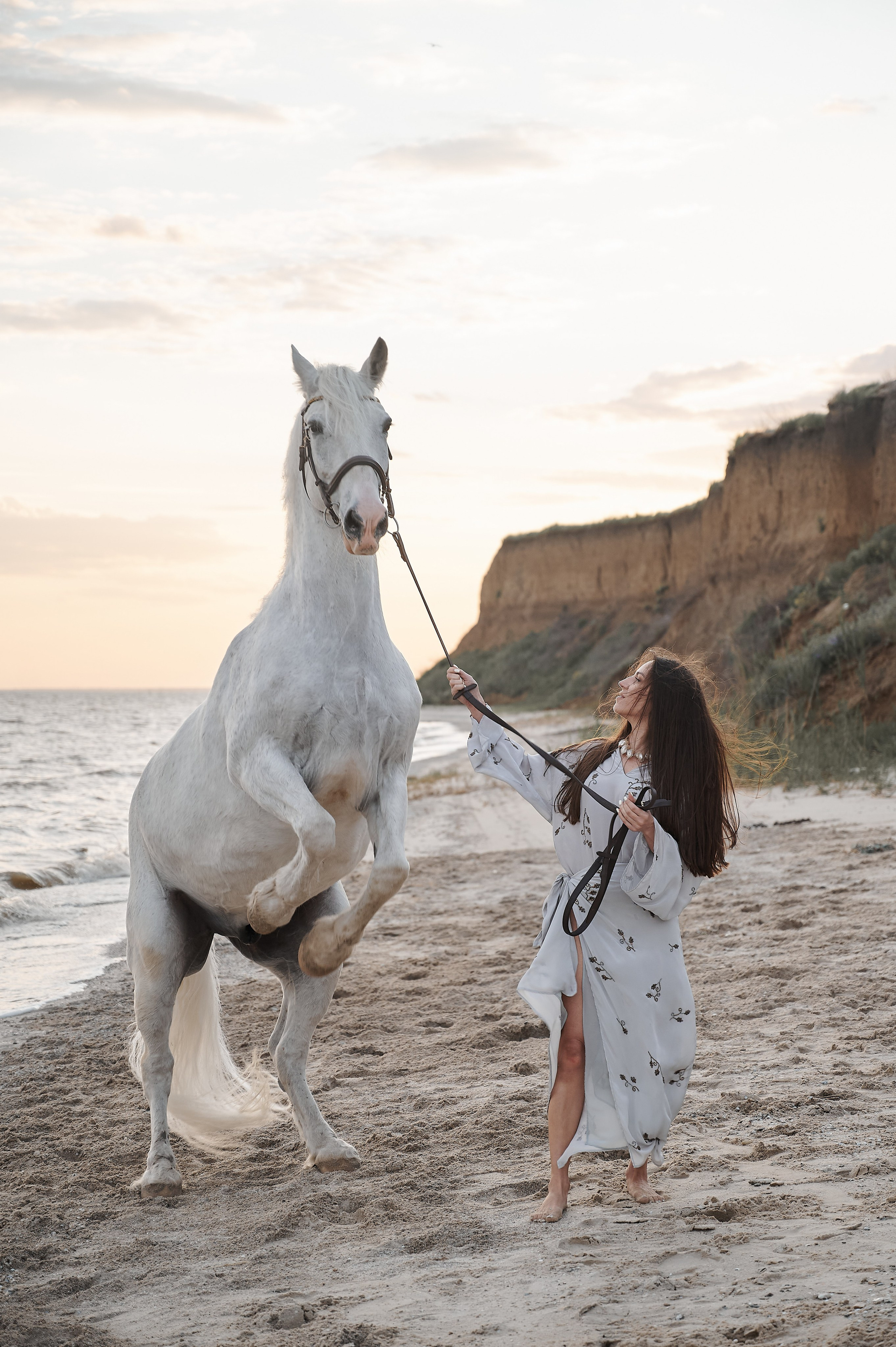 Цирковой конь Гефазт. Катерина Дрюкова фотограф/видеограф