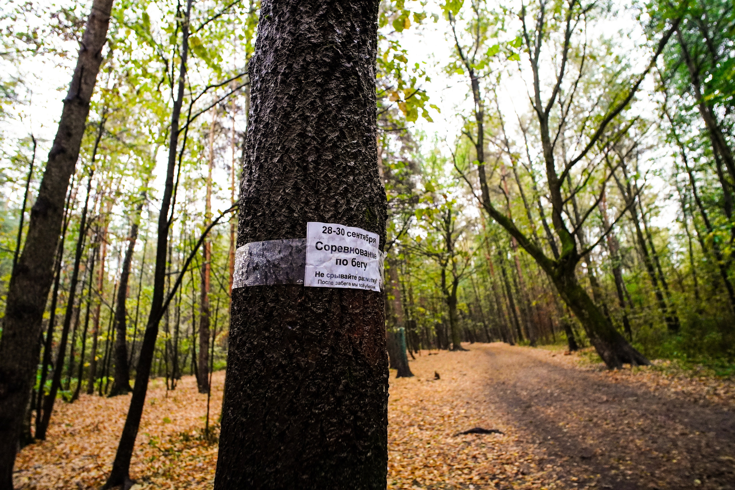 Backyard Ultra Moscow 2024. Роман Капилюшов. Бег. Фото. Видео. г. Люберцы