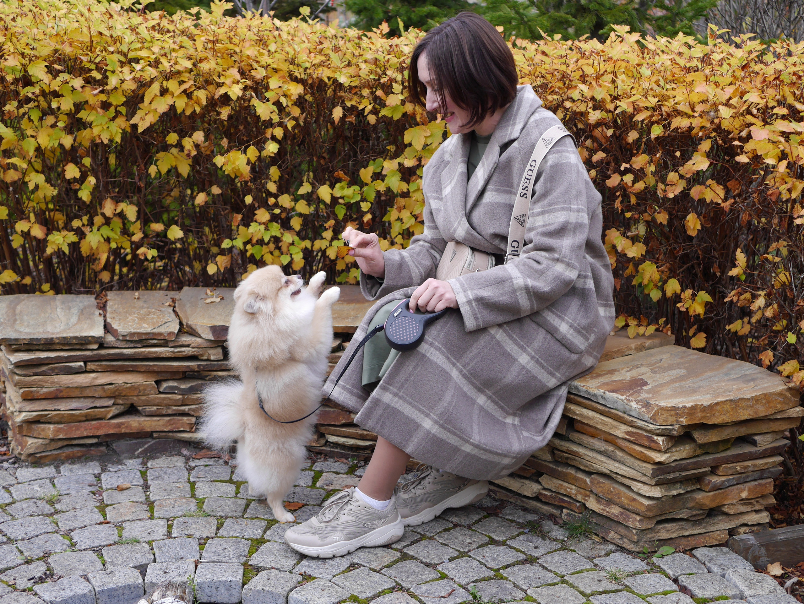 Съемка с любимым питомцем