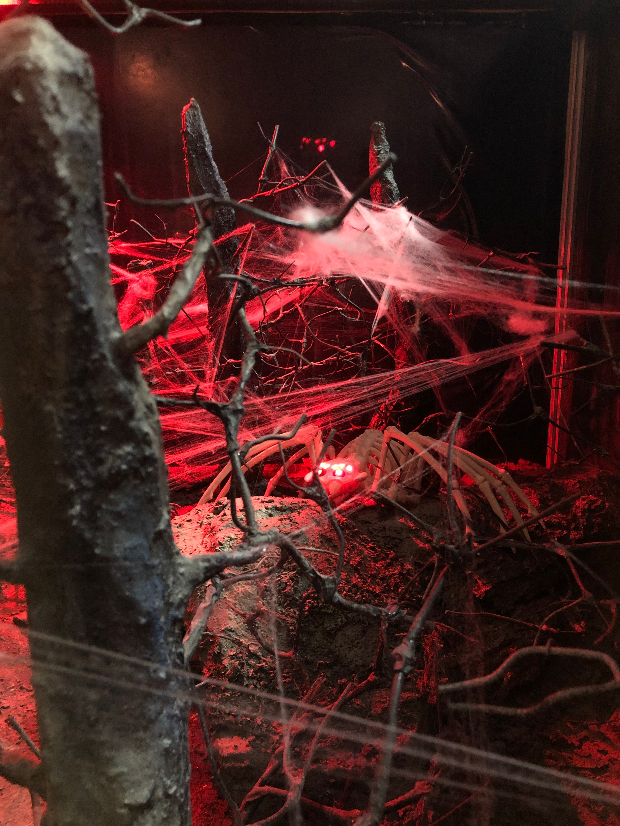 Октябрь. Семейный, Свадебный фотограф СПБ Питер— Романова Екатерина