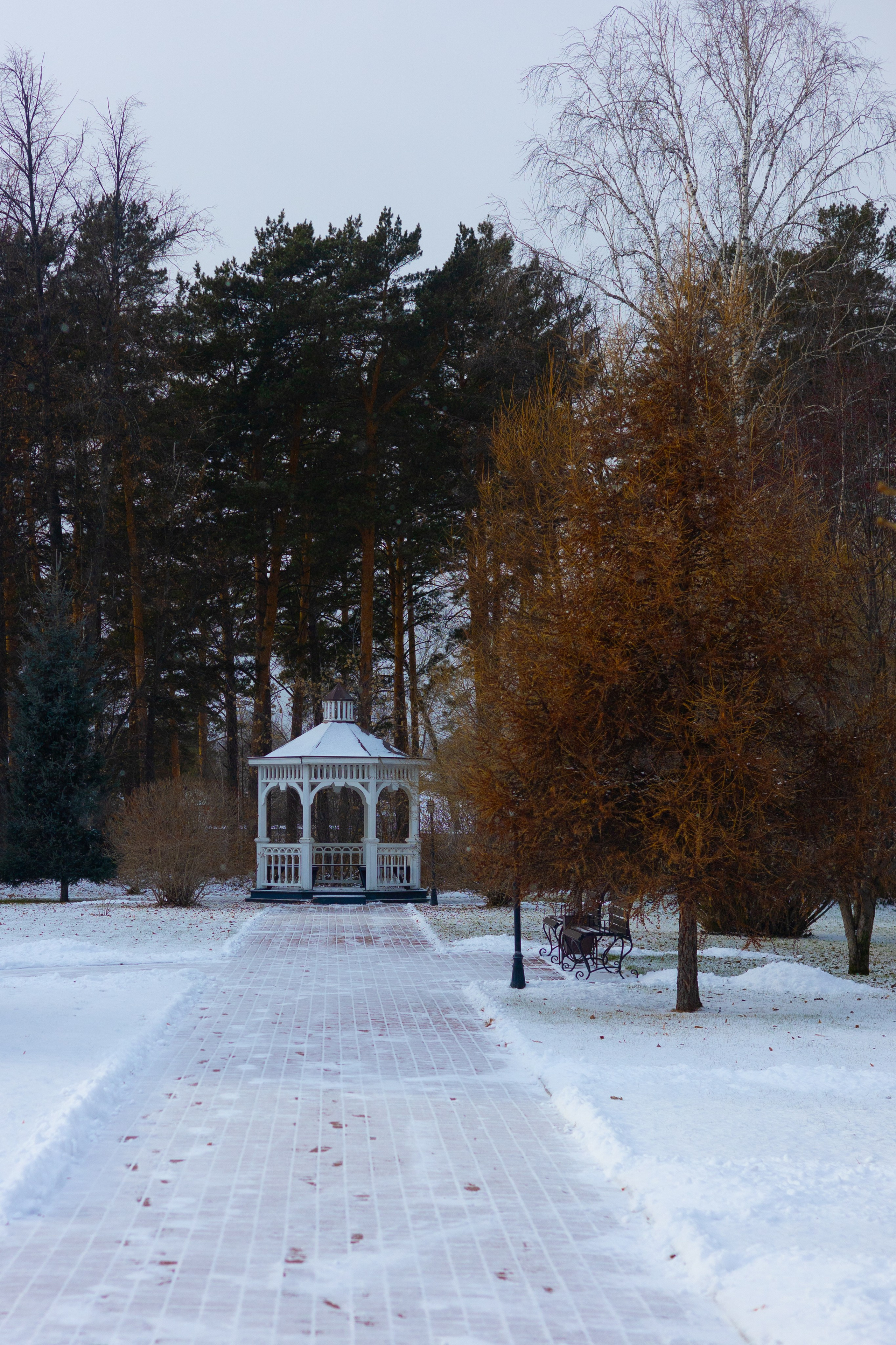 ПОЙМАЛА. Фотограф Красноярск