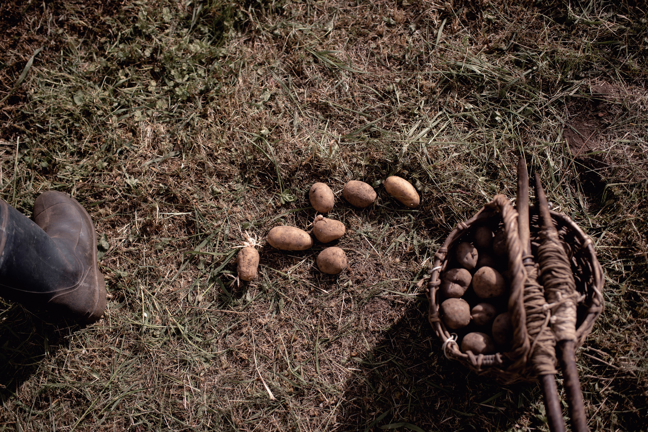 Люди. Семейный фотограф Псков. Спб.|Анастасия Войналович