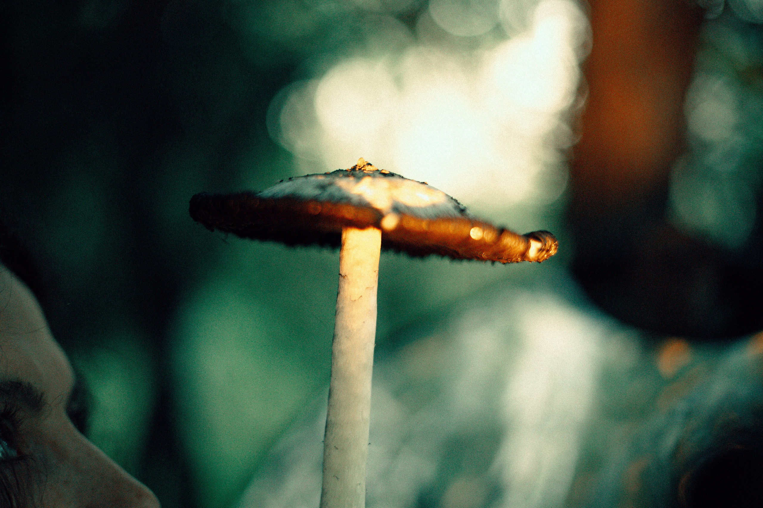 Лес. Колдунья. И волшебные грибы. Арт-фотограф Крис Л. в Тобольске: портрет, семейные, свадьбы