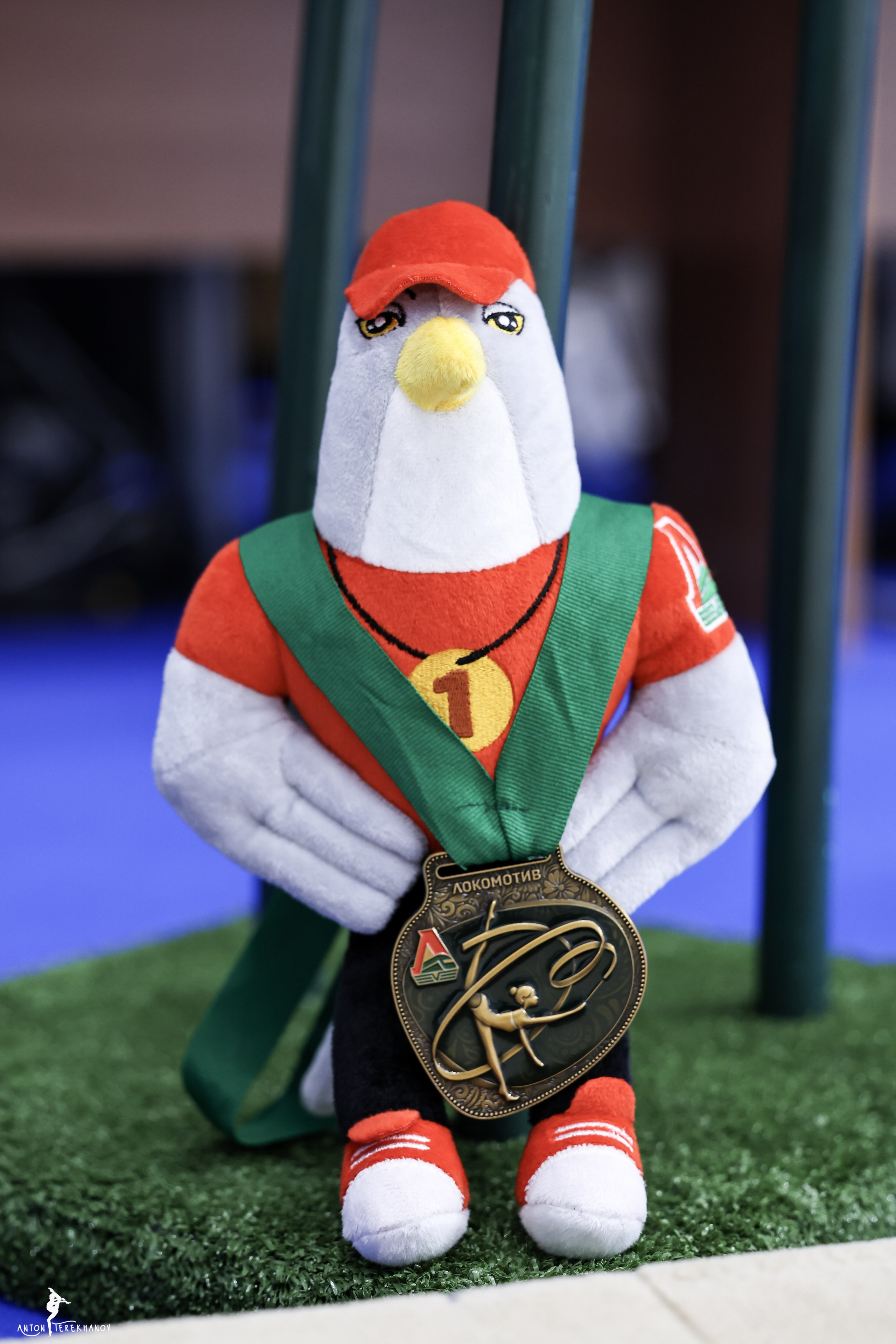 ВС «Локогимнастика» 13.04.2024. Спортивный и репортажный фотограф Антон Тереханов