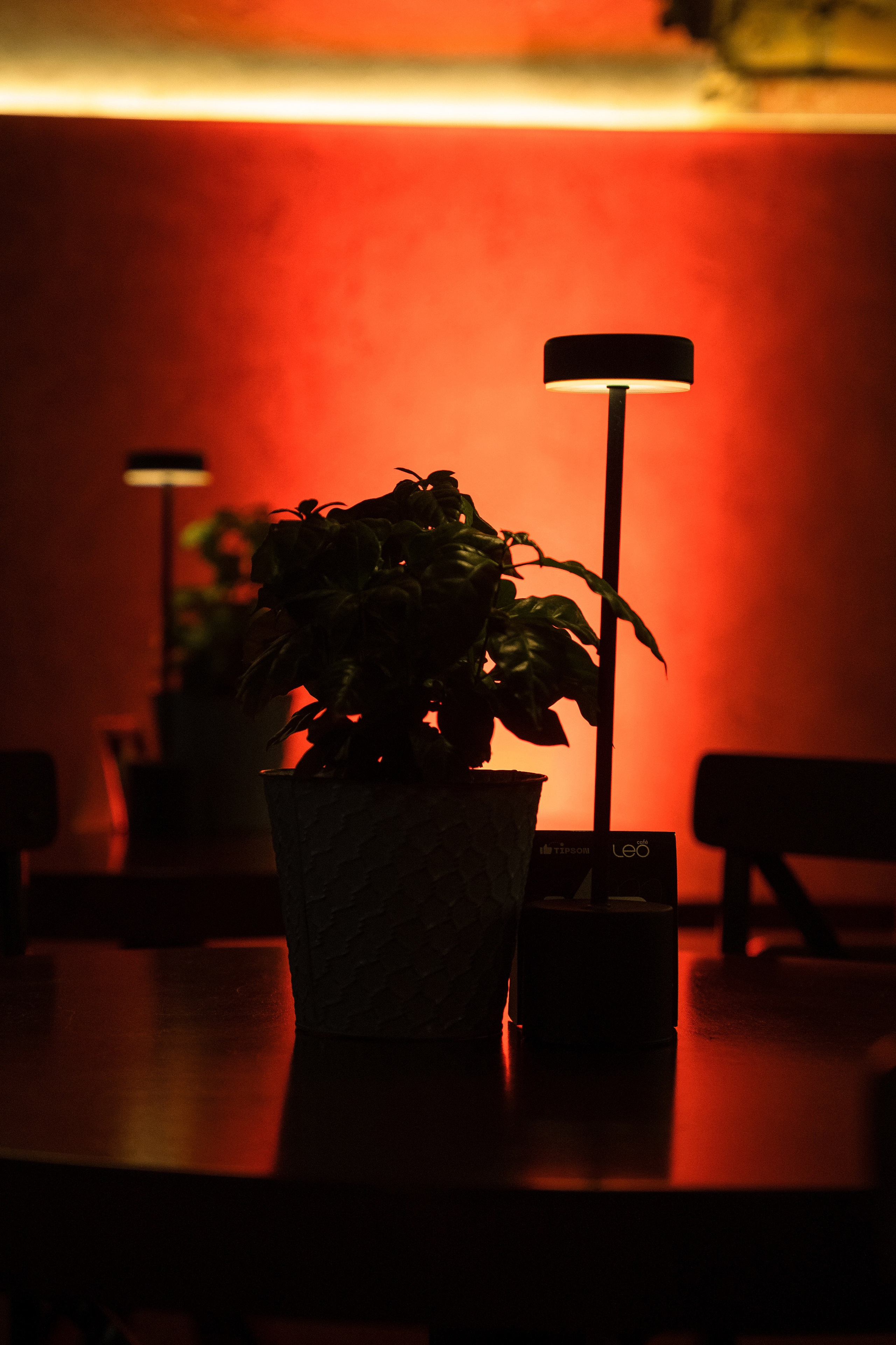 Открытие Leo Coffee. Репортажный фотограф Дмитрий Юрчук