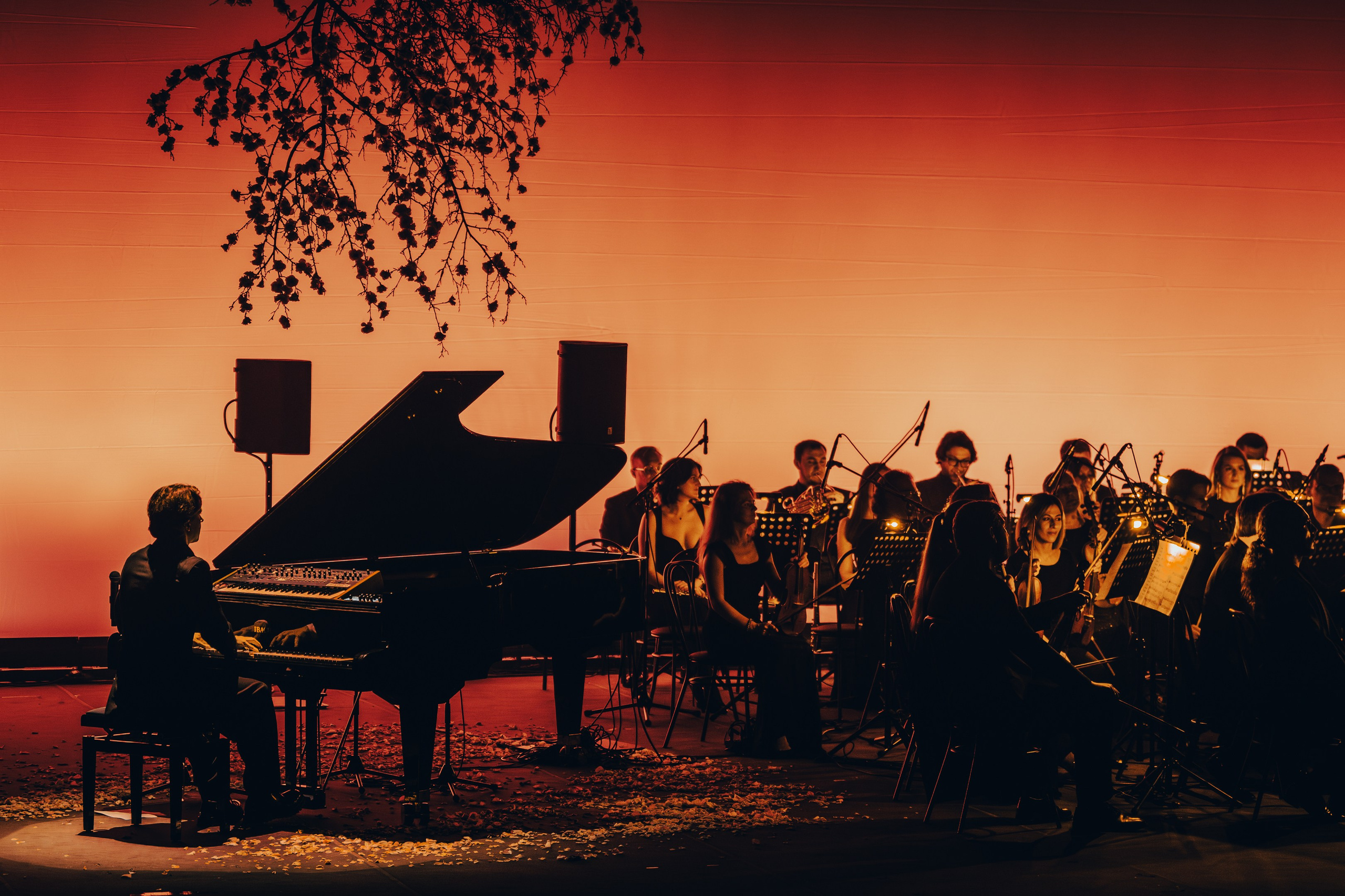 Никола Мельников / 2024. OOPS