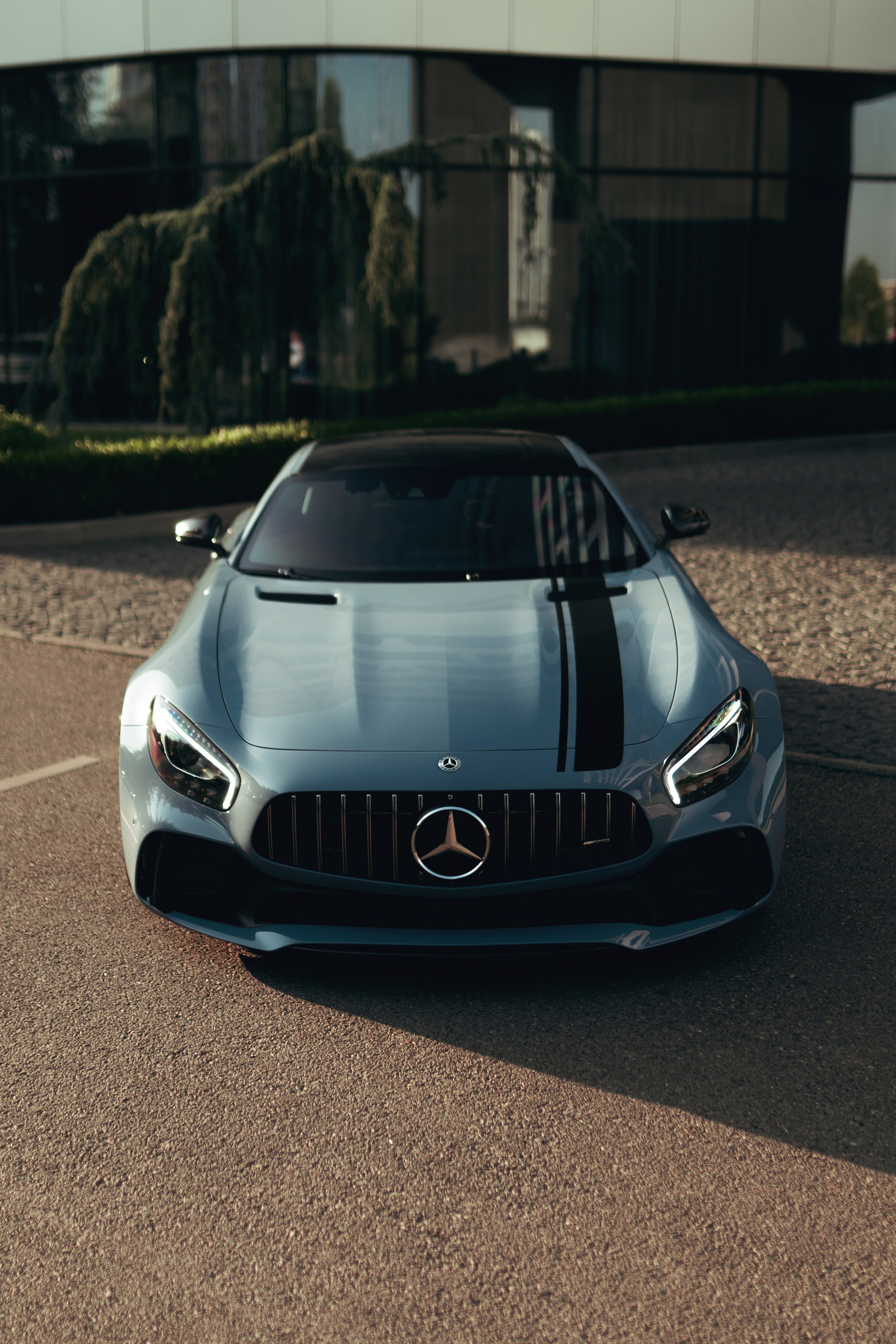 Фотографии Mercedes-AMG GTR