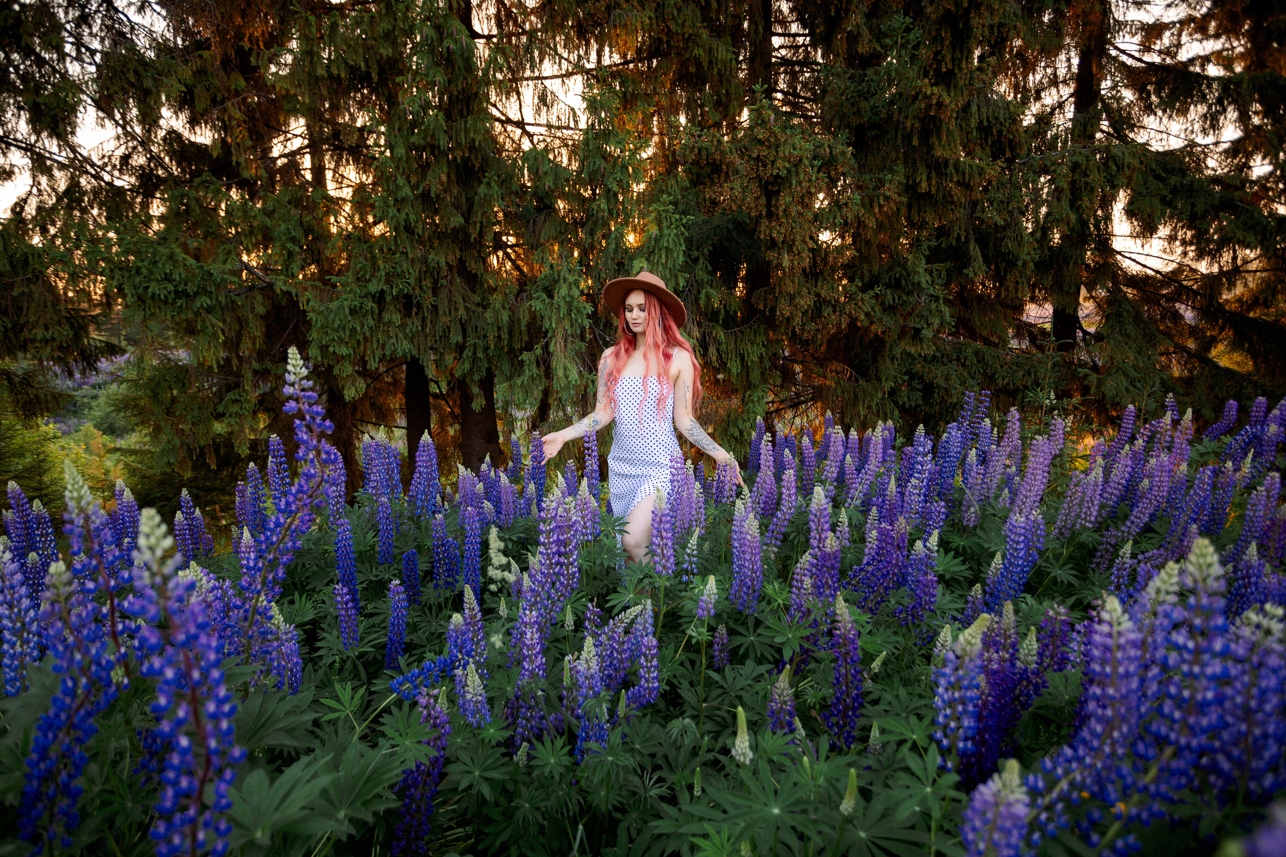 Люпиновая Фотосессия на закате. Профессиональный фотограф в Ижевске Леша Петров