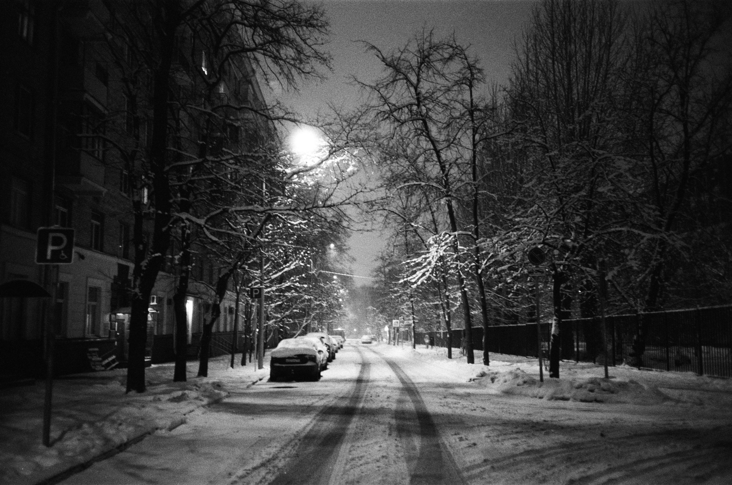 Grain. Artem Khusainov