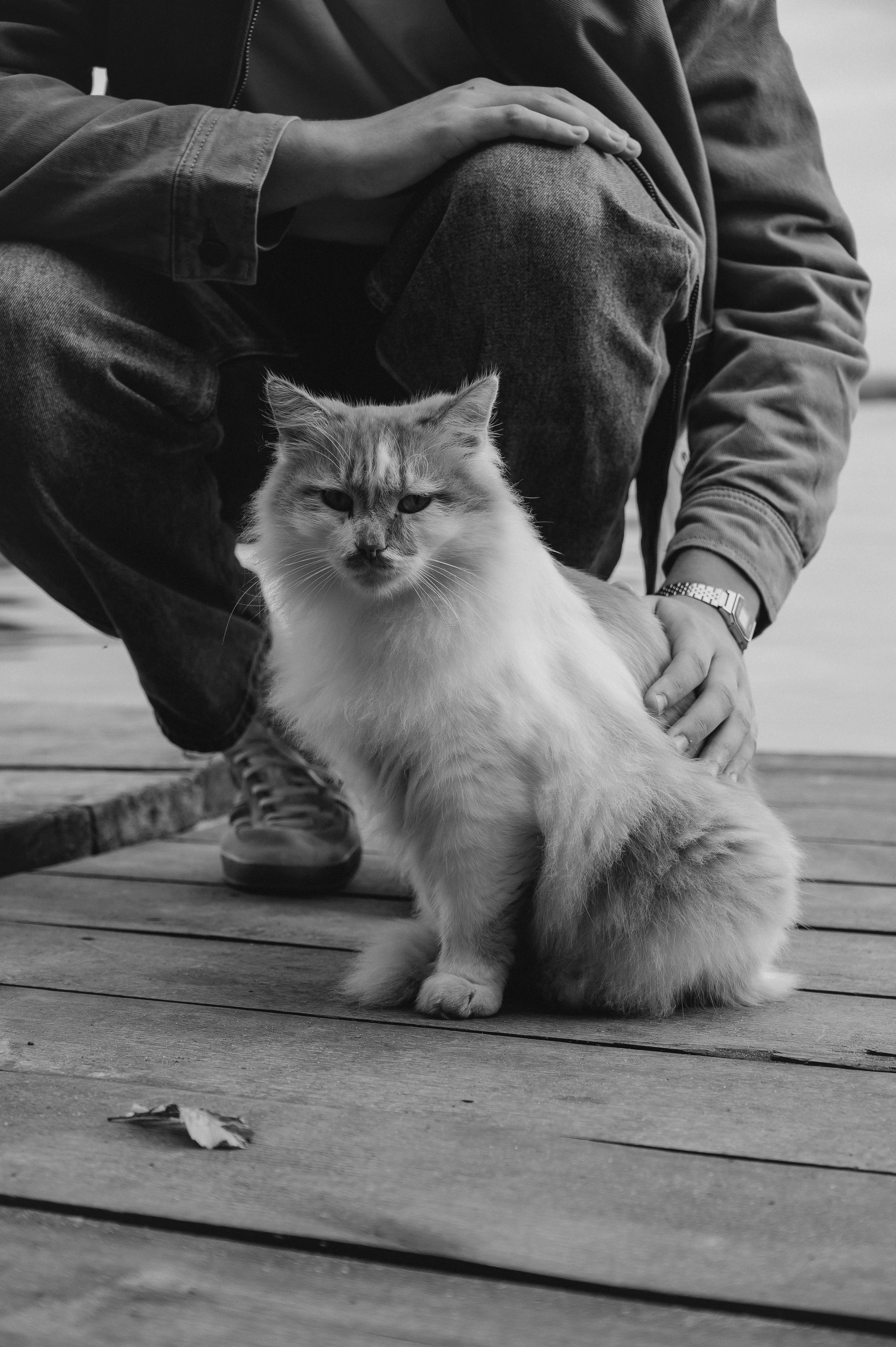 Ксюша и Антон. Фотограф Мария Строгонова