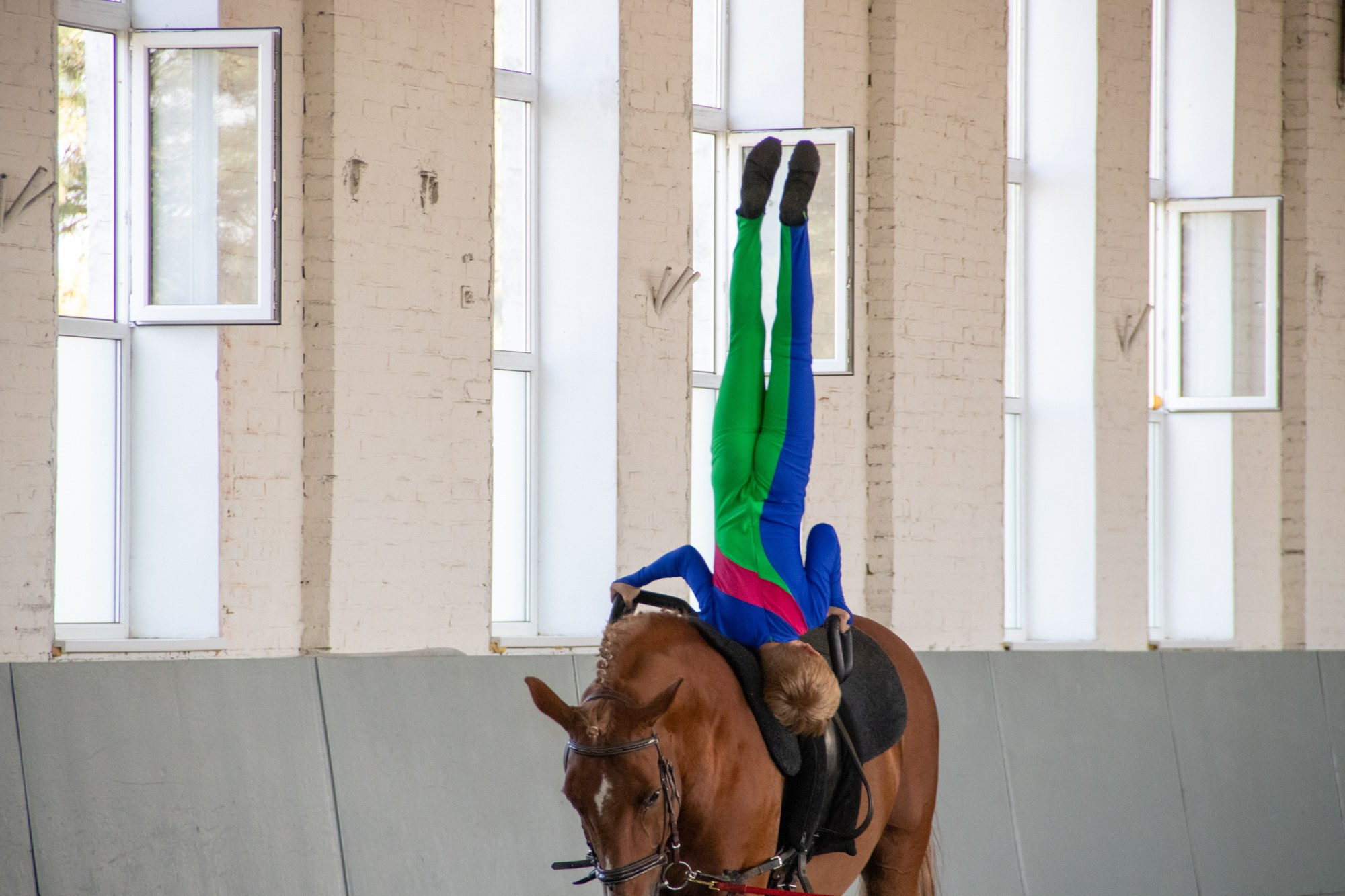 Открытие Краснодарского ипподрома. Репортажный, промышленный и маркетплейс-фотограф Дмитрий Чернат