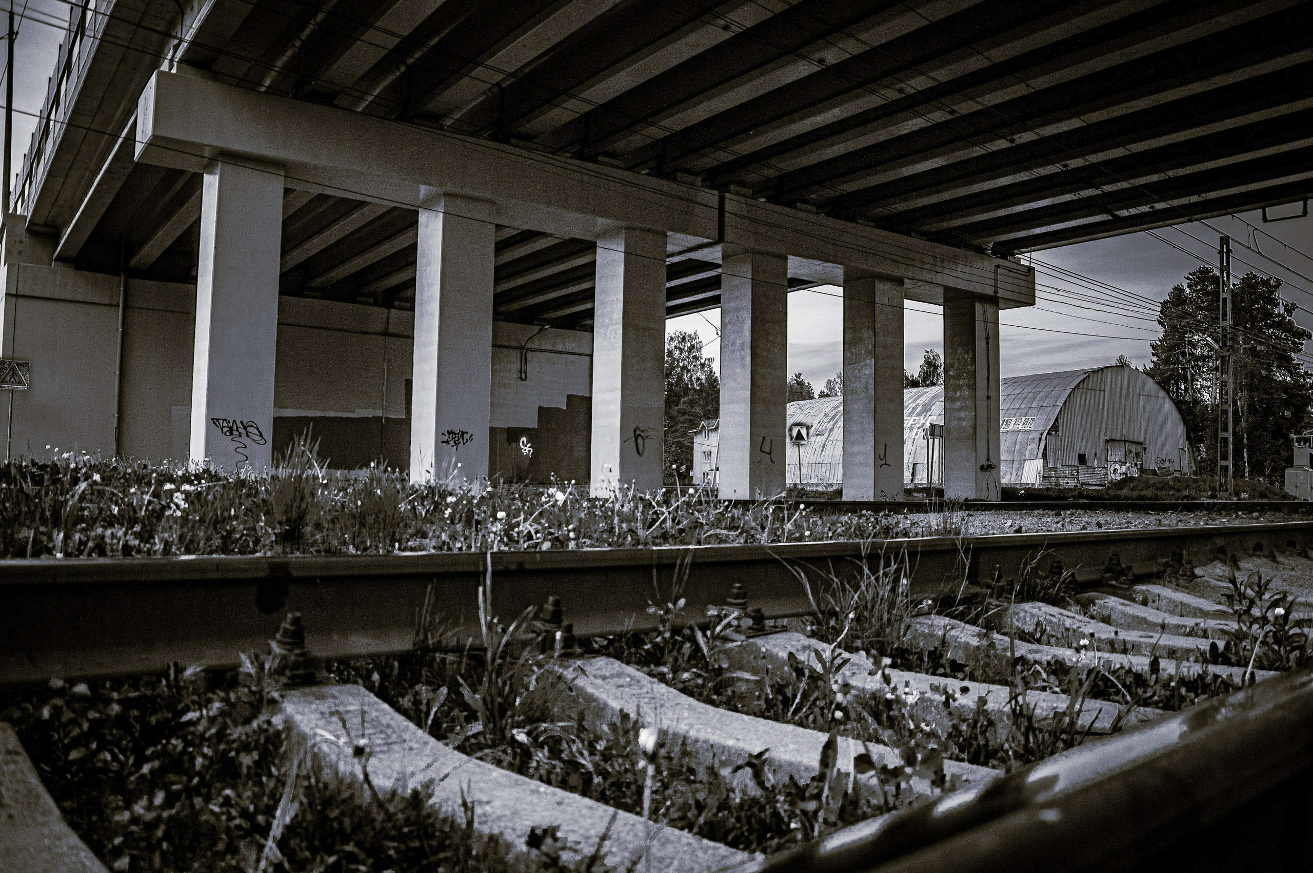 Стрит-фото. F.O.xygen