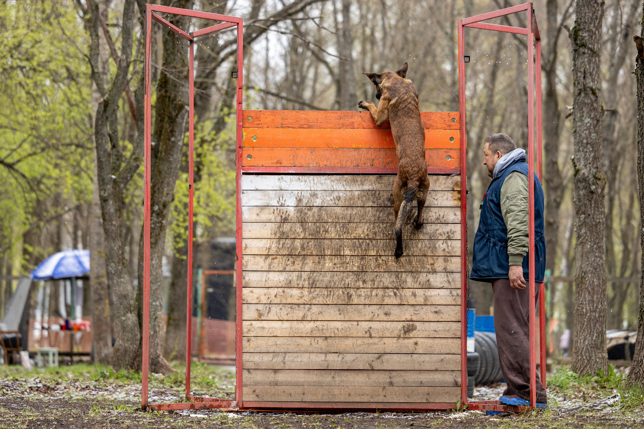 Квалификационные состязания по мондьорингу г. Вологда 11.05.24. Фотограф-анималист Анна Маринич
