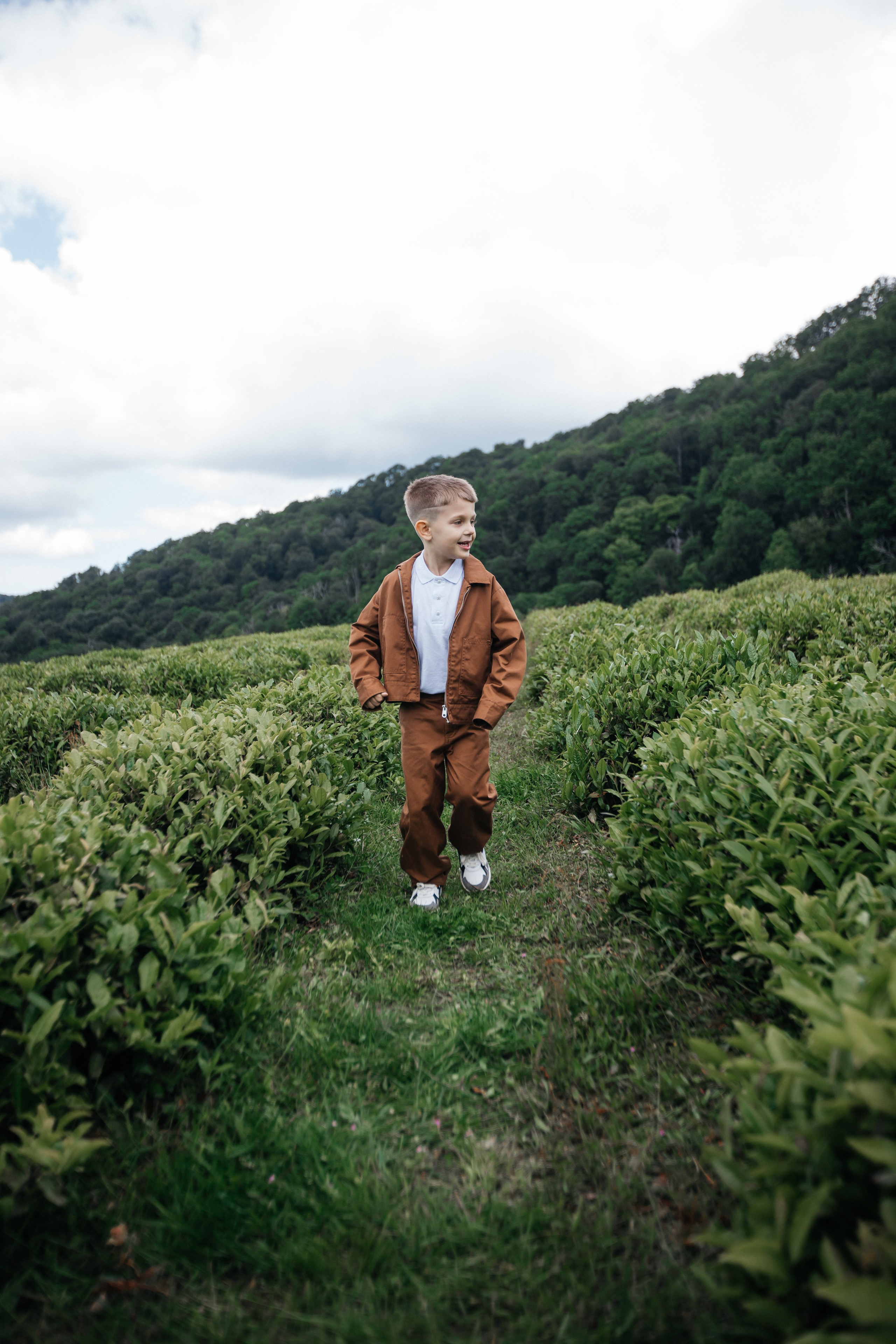 Tea plantation. Efimova Model Agency