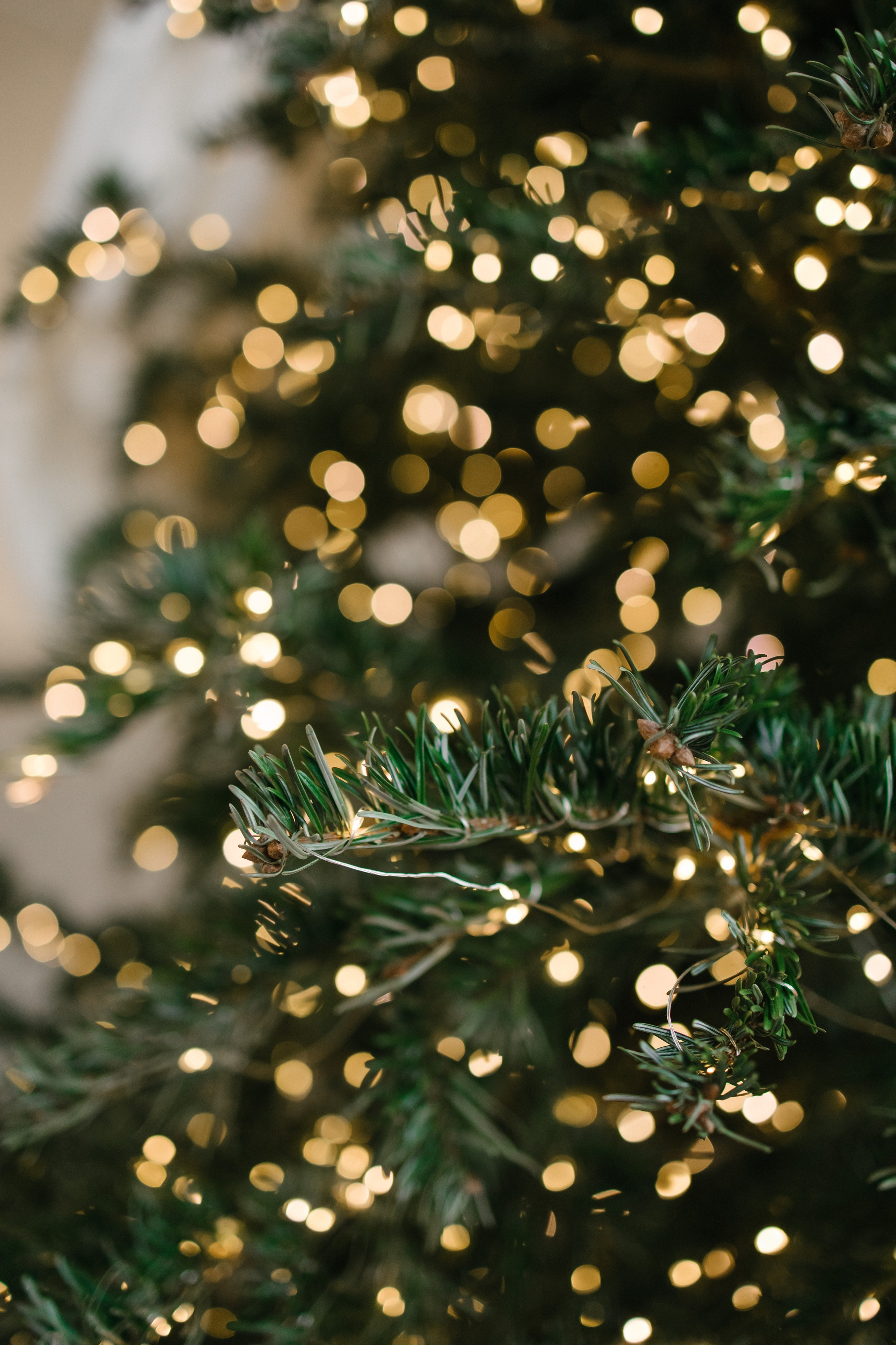 Мастер-класс + День Рождения. Свадебный фотограф Москва Воронеж Ленкова Ксения