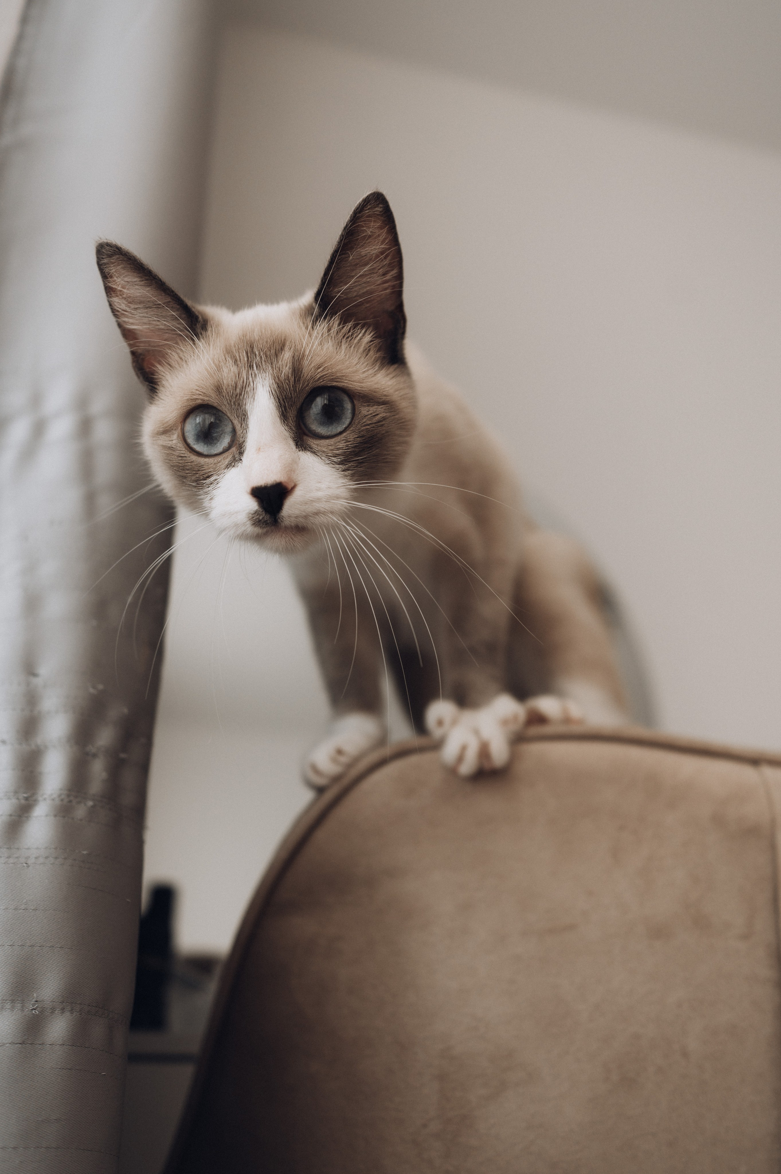 Леша + Алена. Портретный фотограф в Ярославле Юлия Румянцева