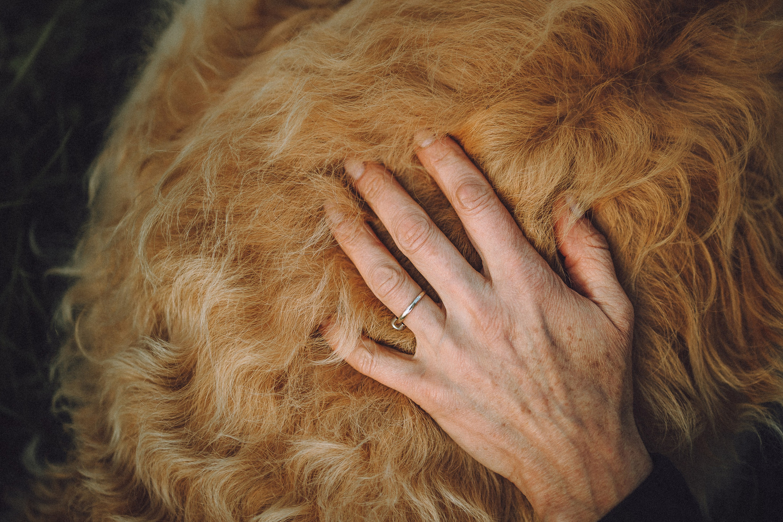 Илай, Зайка и их семья