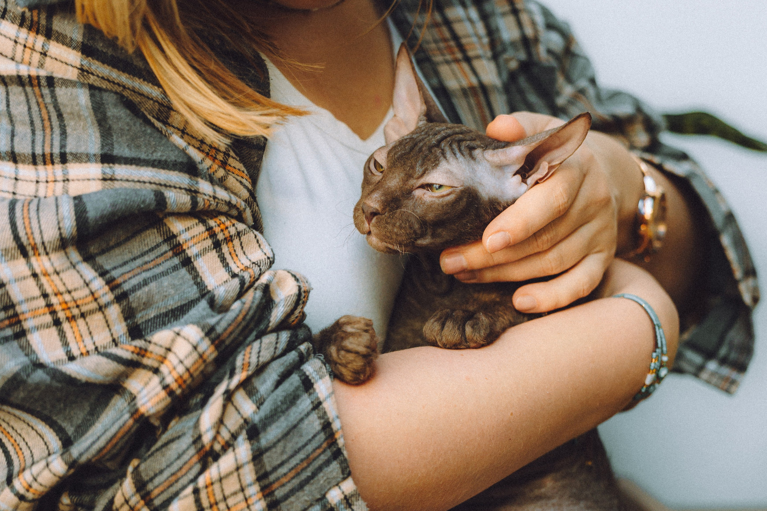 Кокос, Света, Динара и Вилли