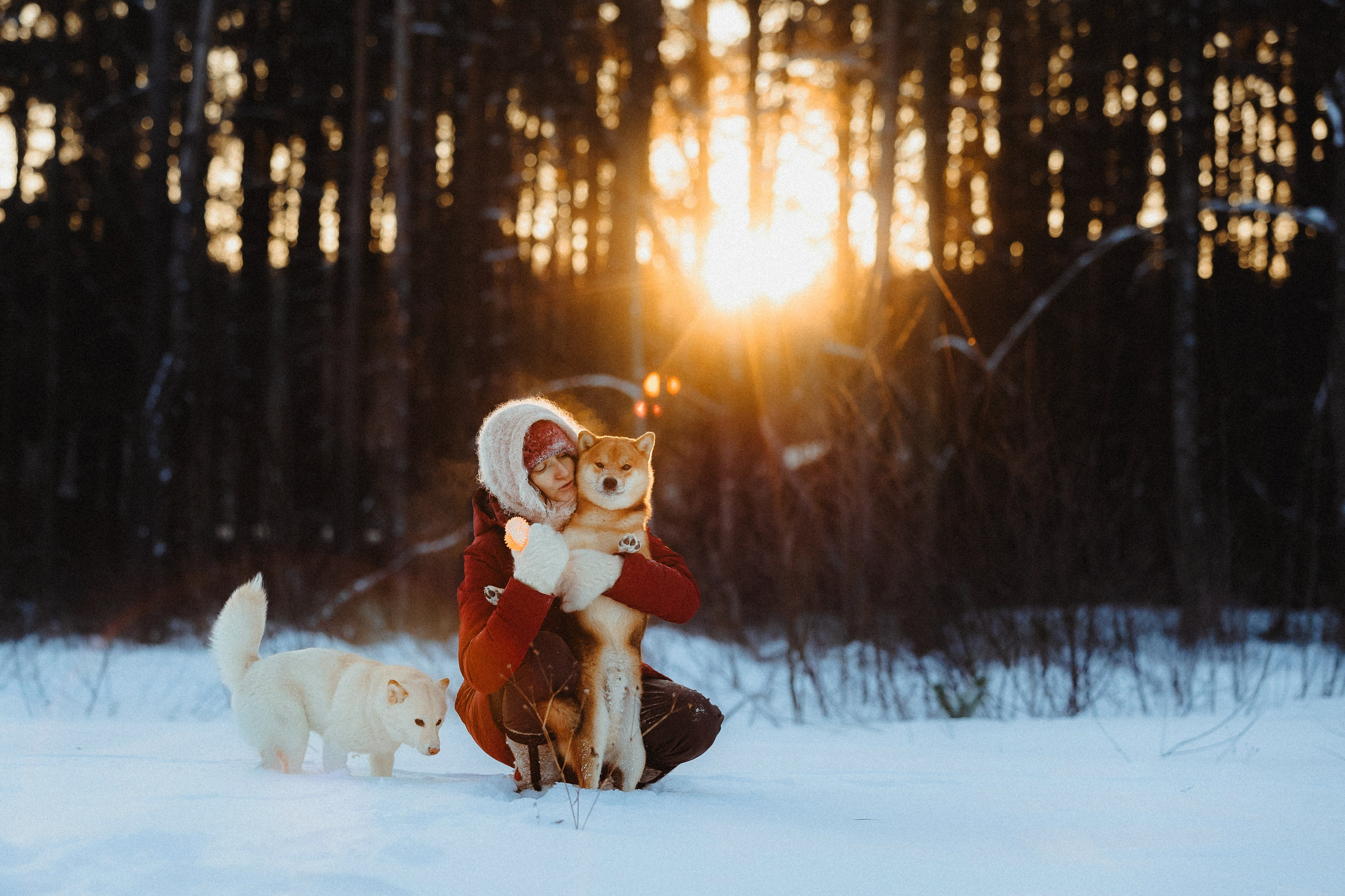 Шед, Цири и Ира