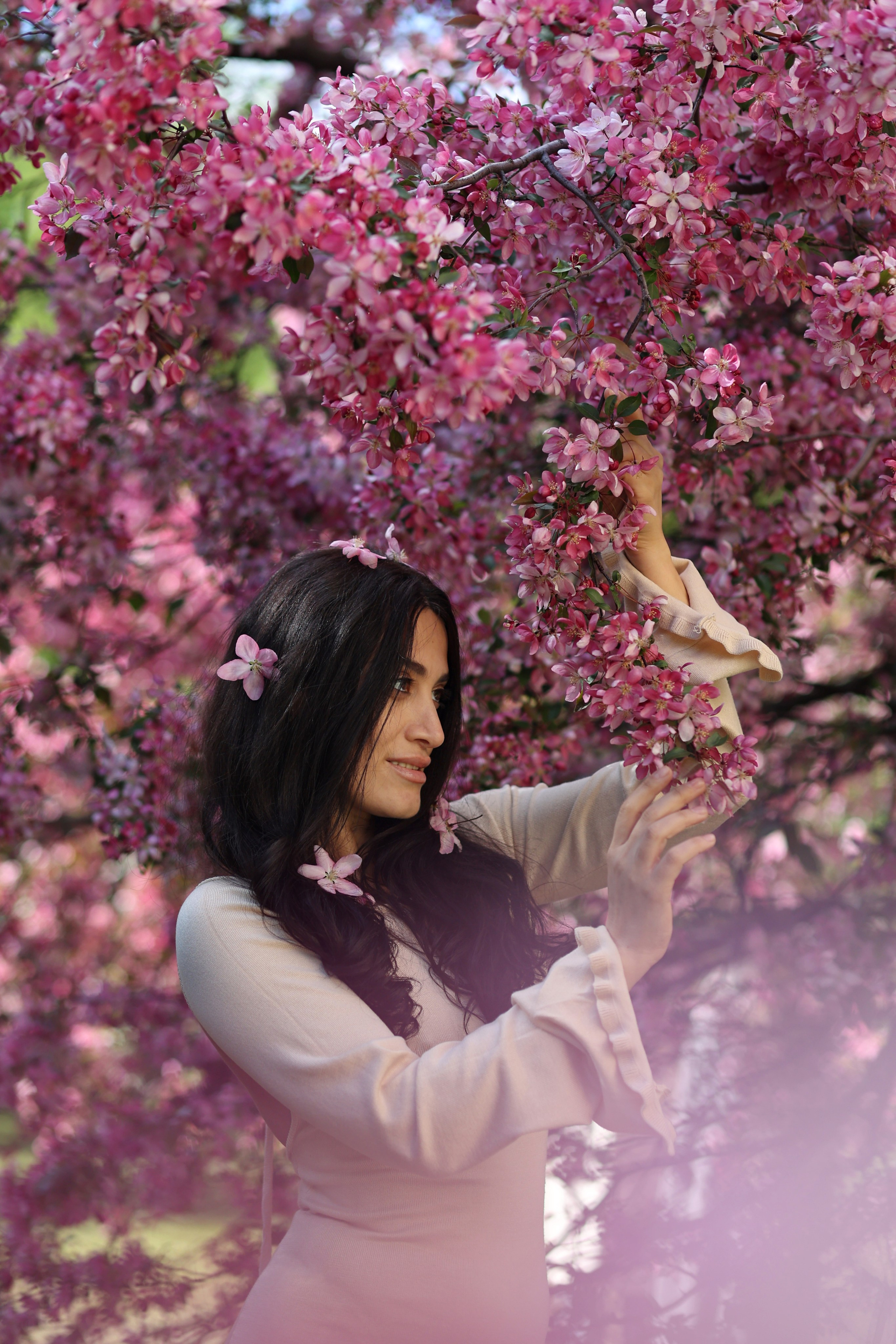 Цветение розовой яблони. Портретный фотограф Москва