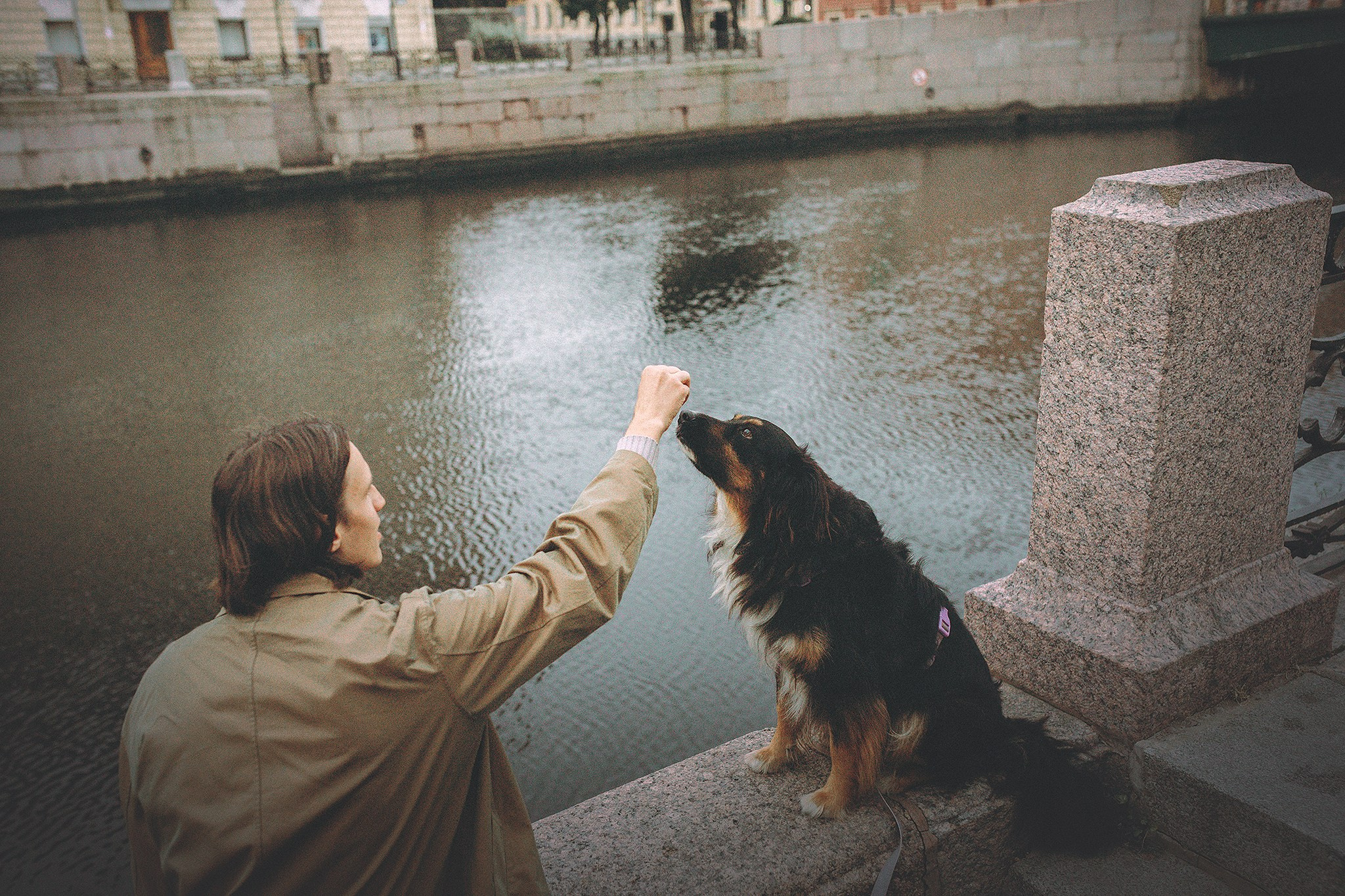 Денис и Бося. Фотограф-анималист • love-story • Санкт-Петербург
