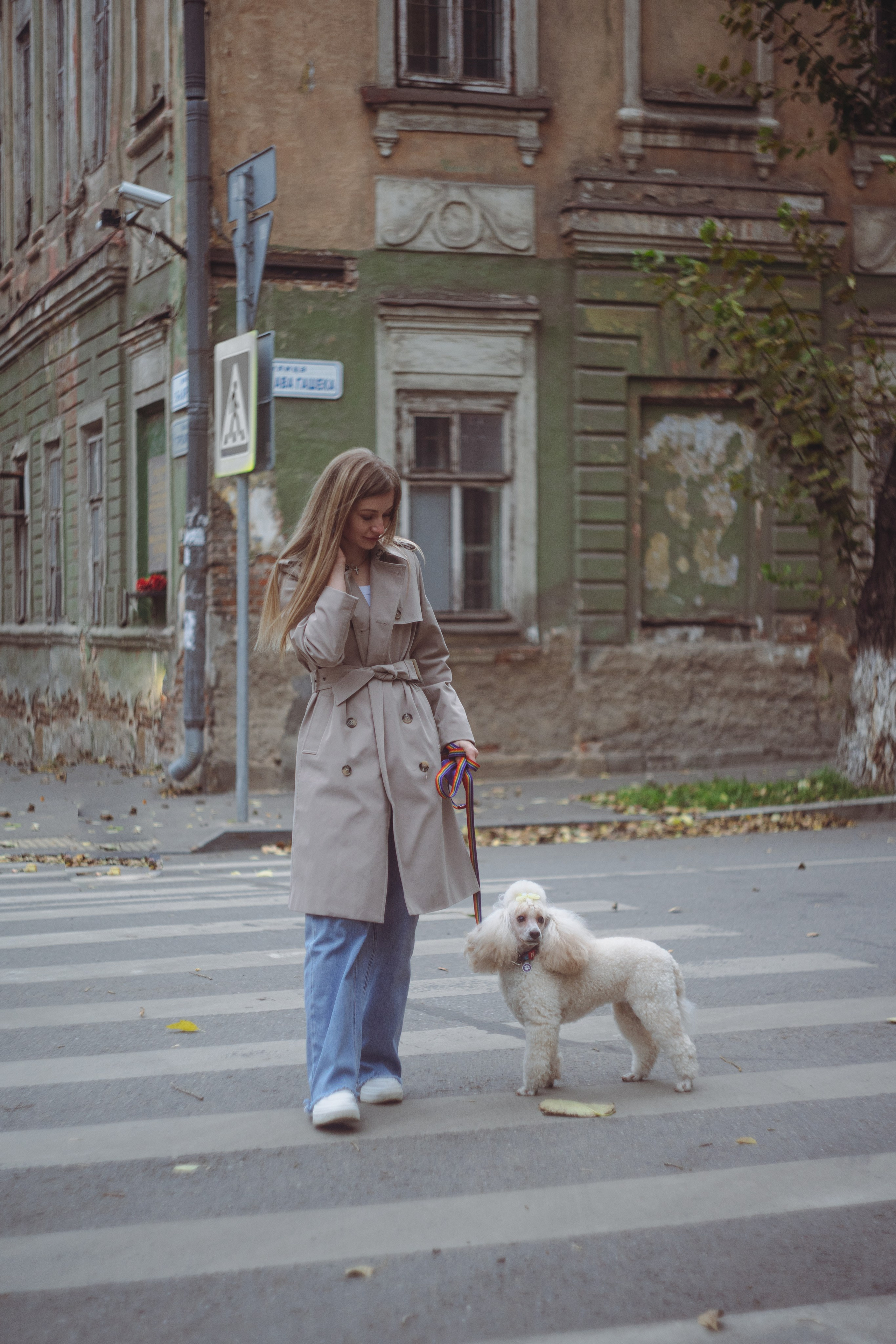 Съёмка с питомцами. Фотограф, видеограф и пилот дрона на Байкале