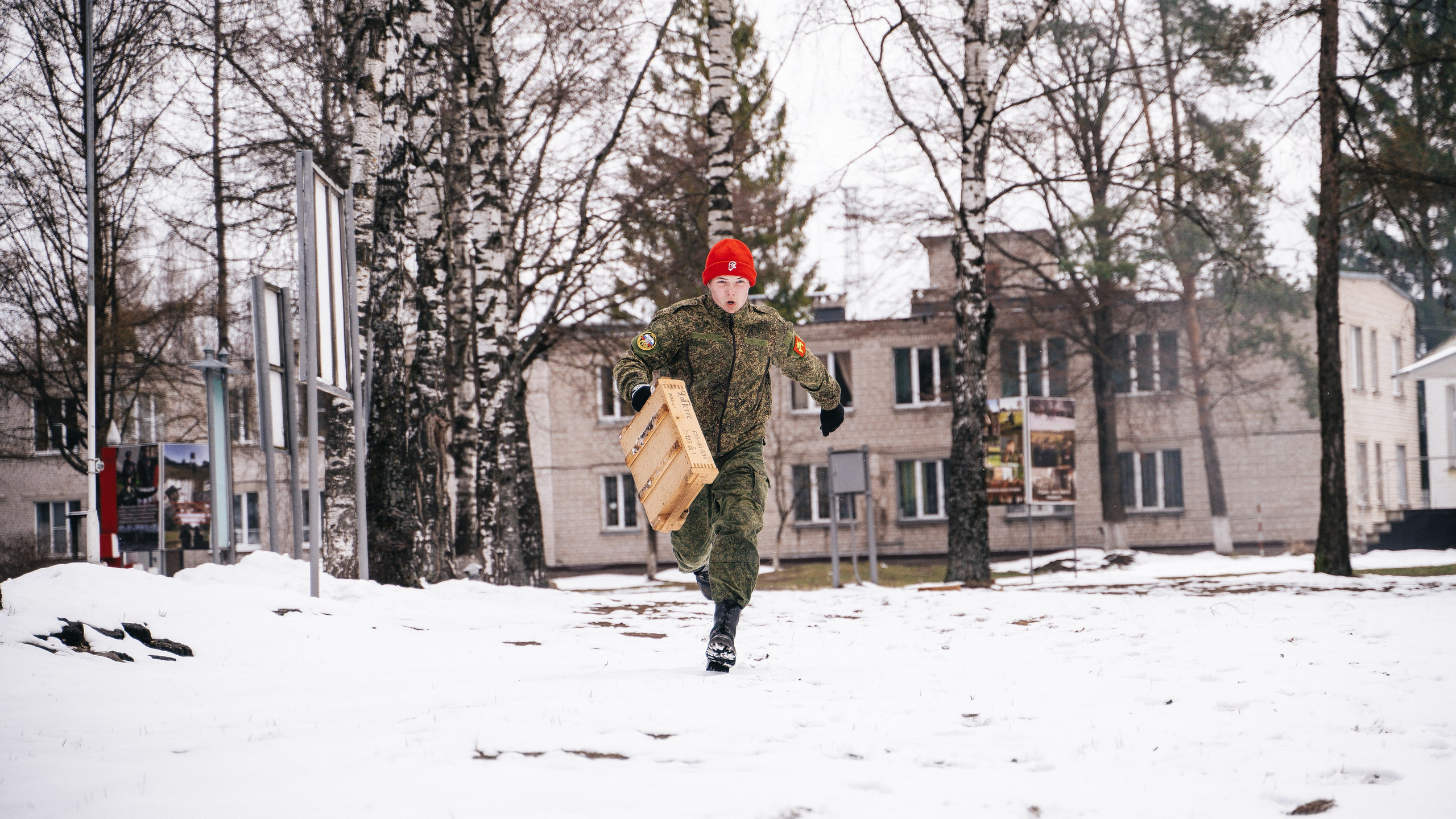 ЗАРНИЦА. Lebeduff