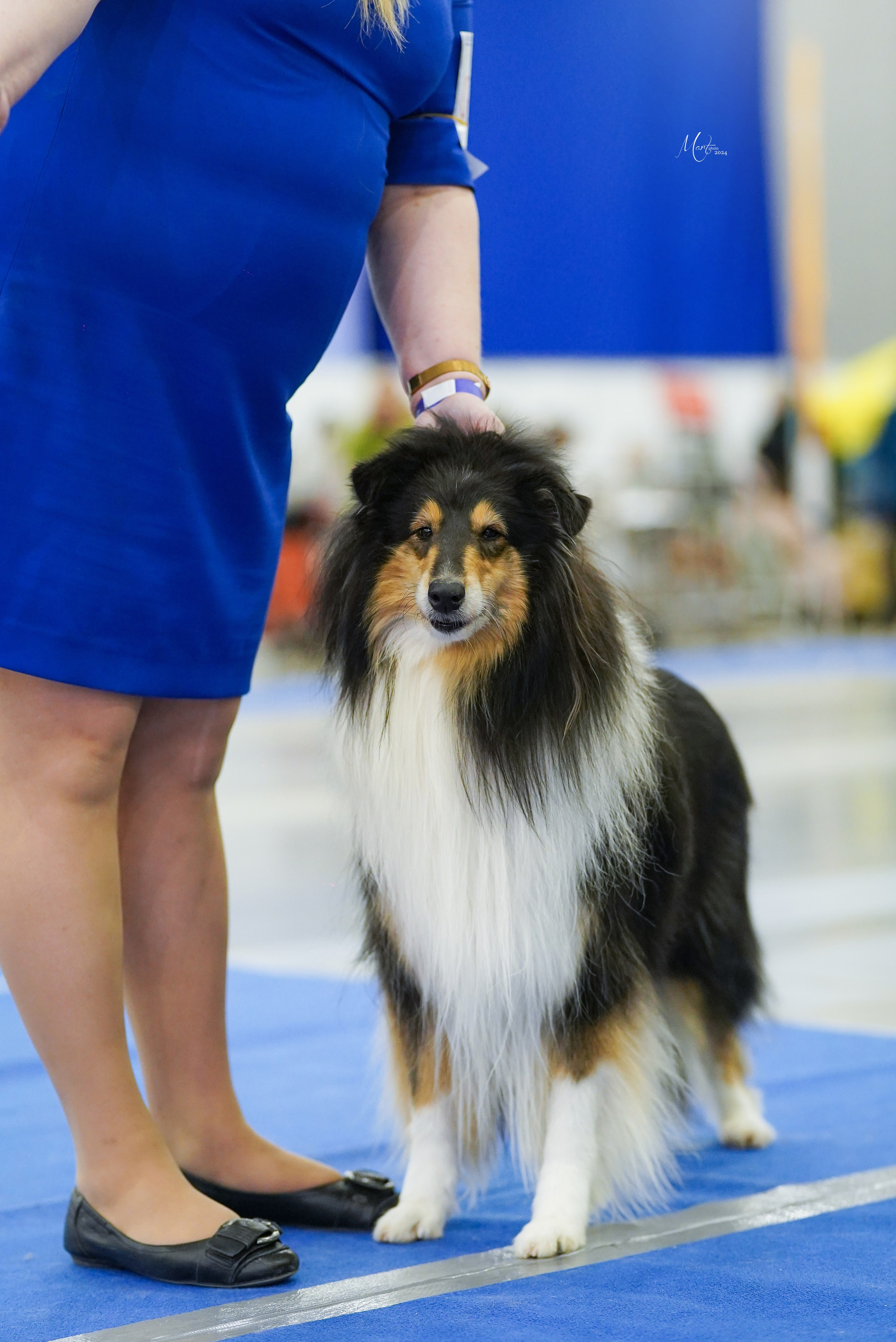 Выставки 2024. Фотограф-анималист в Санкт-Петербурге Яна Мартынова