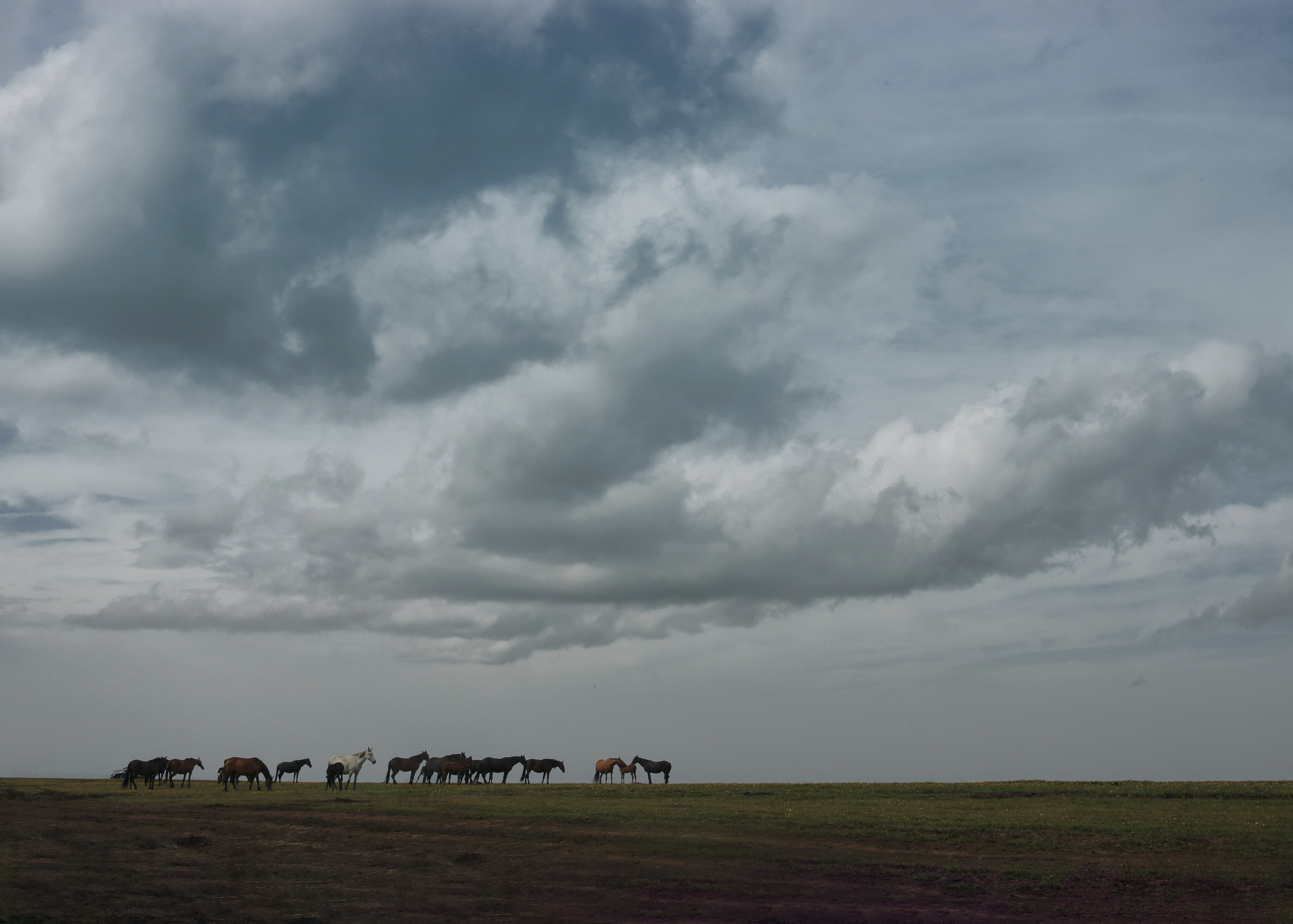 Пейзаж. Фотограф Наталья Туева FineArt съёмка