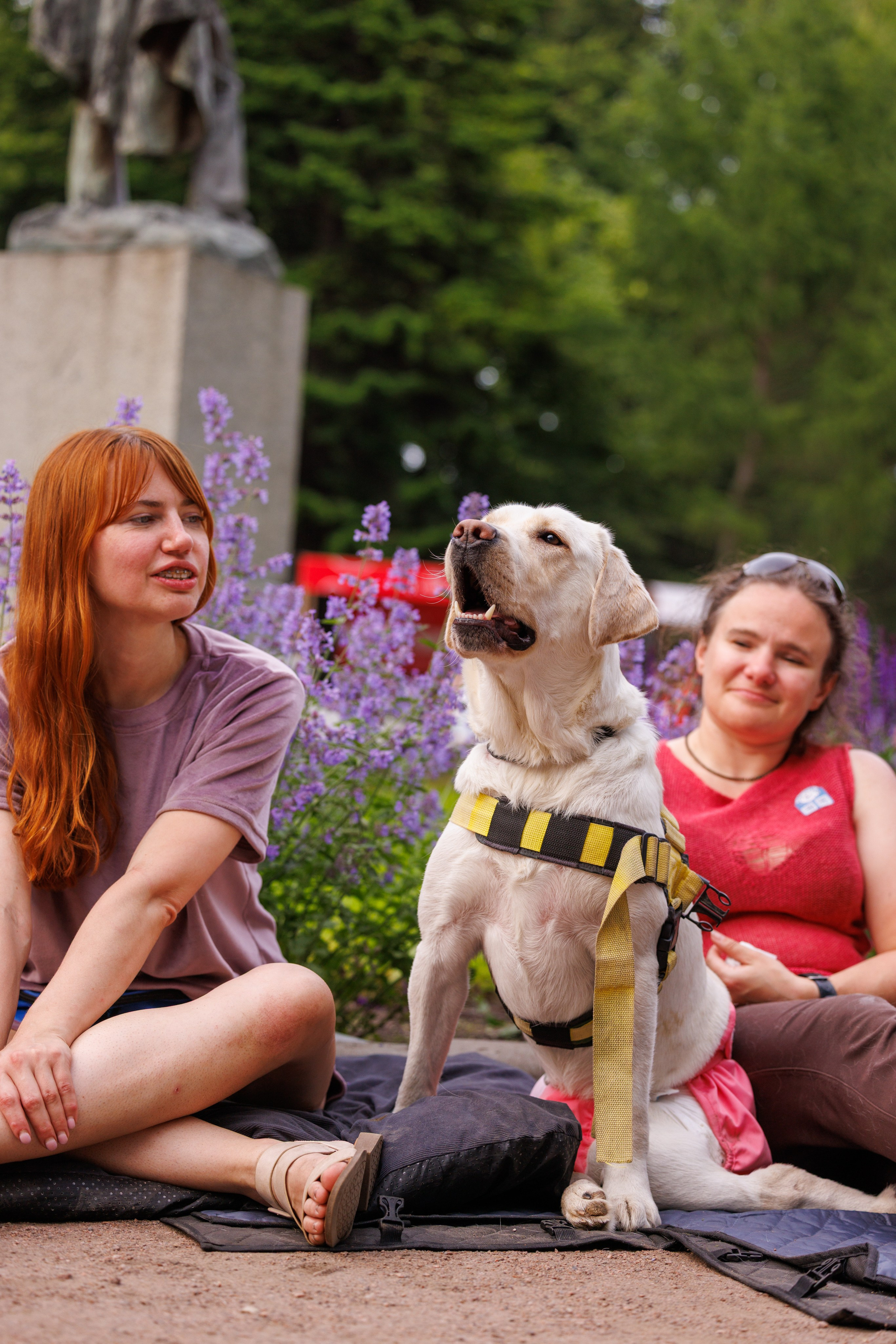 PetShopDays2026. Фотограф Александр Заломаев