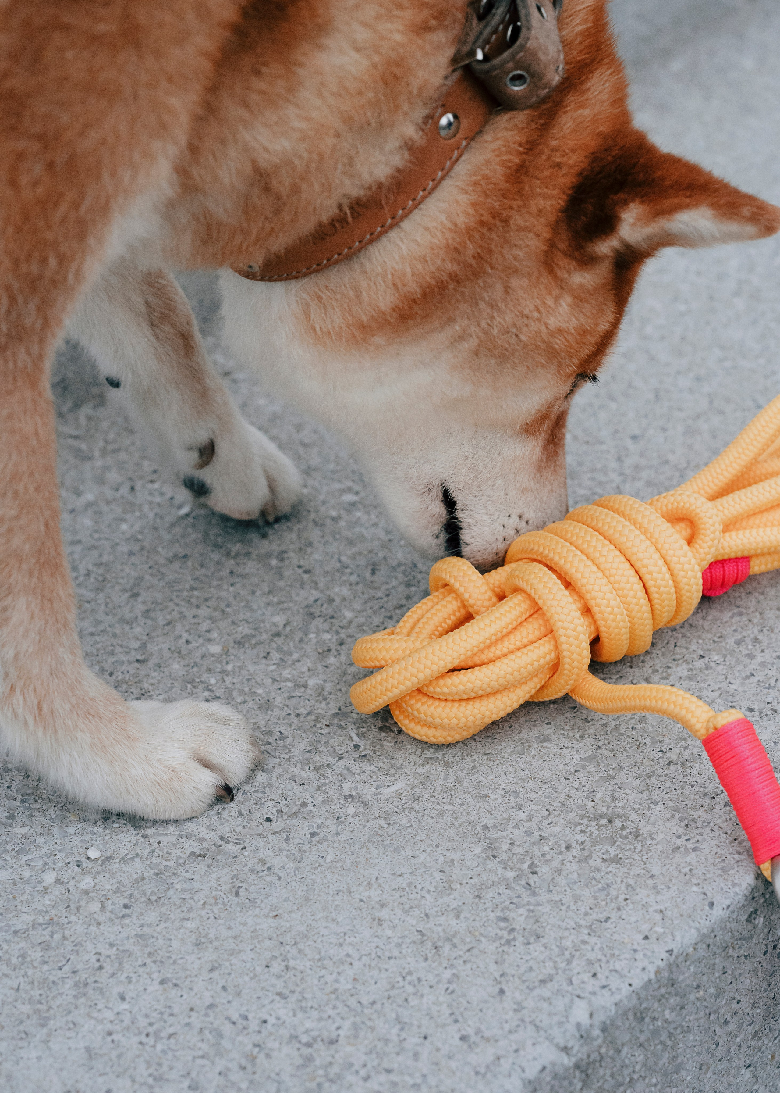 Держись меня. Фотограф- анималист Александра Матвеева